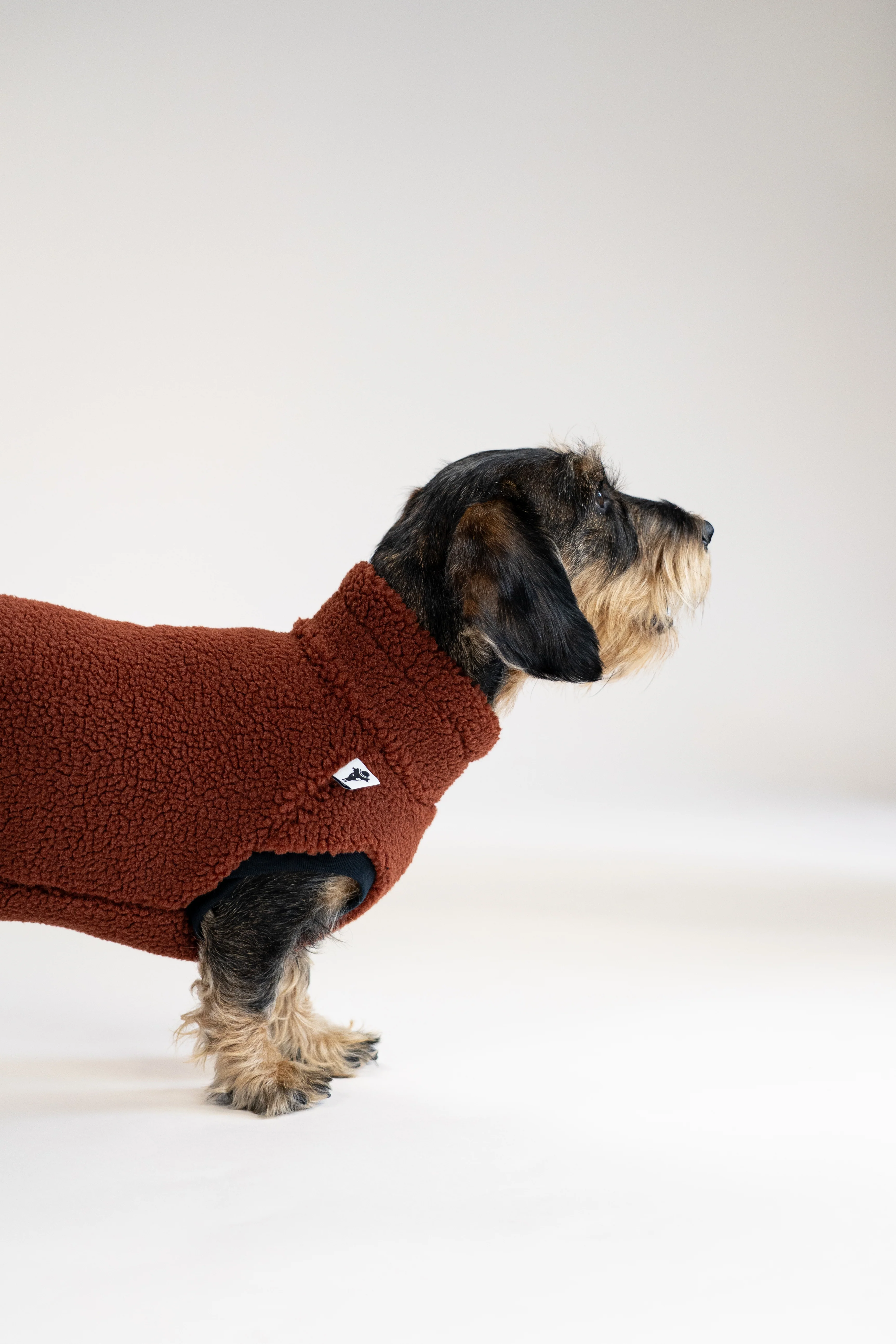 TEDDY SHIRT Dackel Brown - Image 4