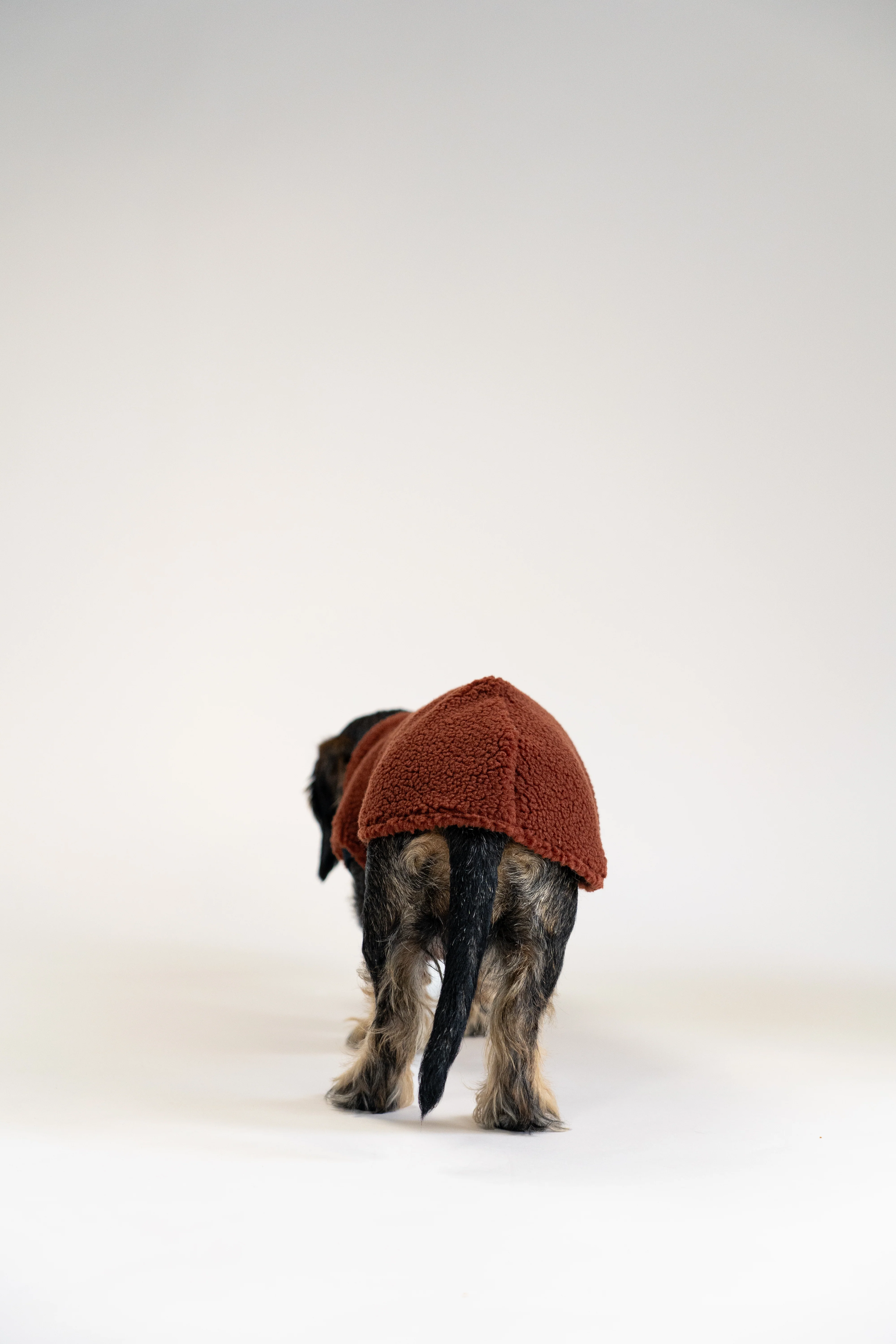 TEDDY SHIRT Dackel Brown - Image 6