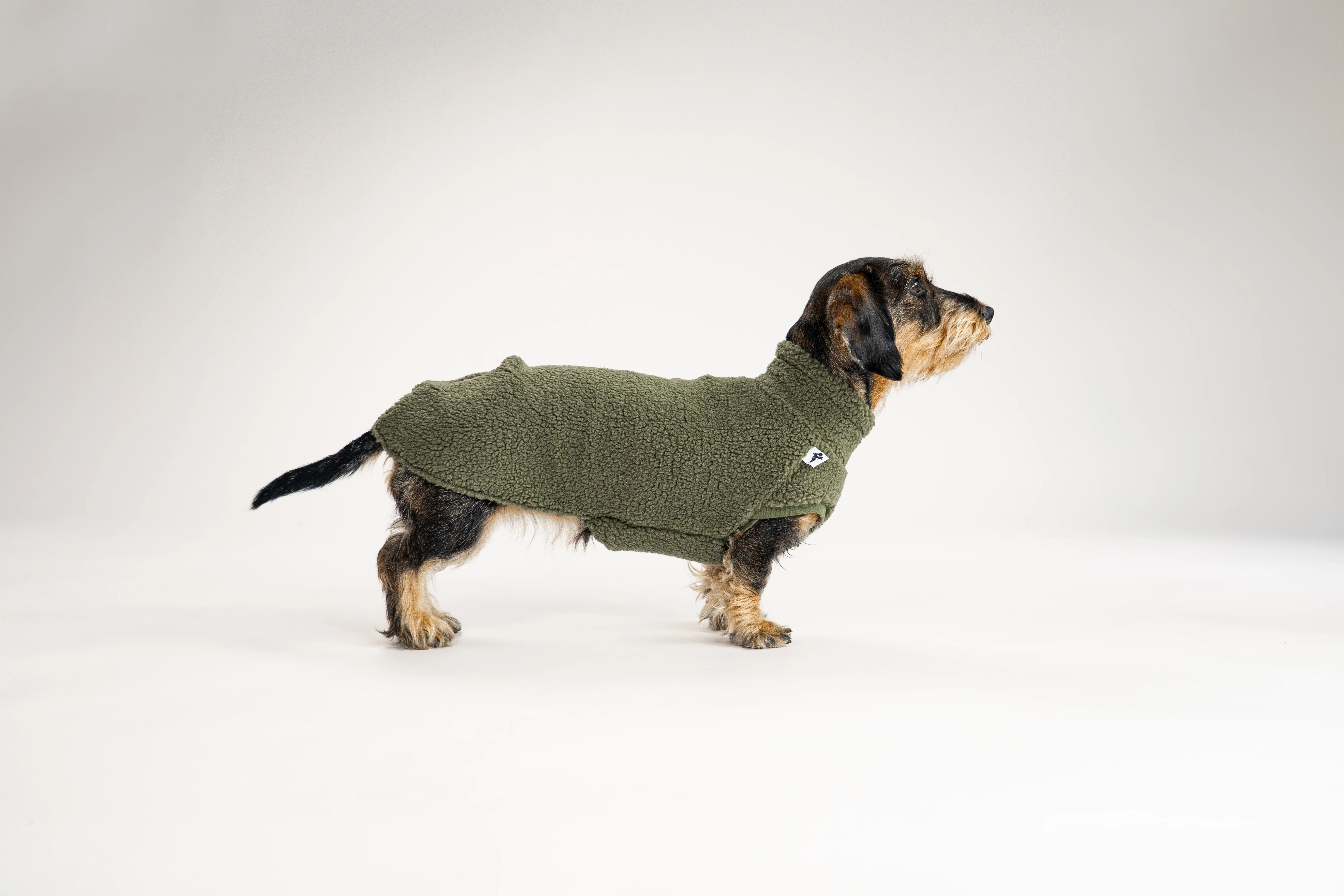 TEDDY SHIRT Dackel Dark Olive - Image 4