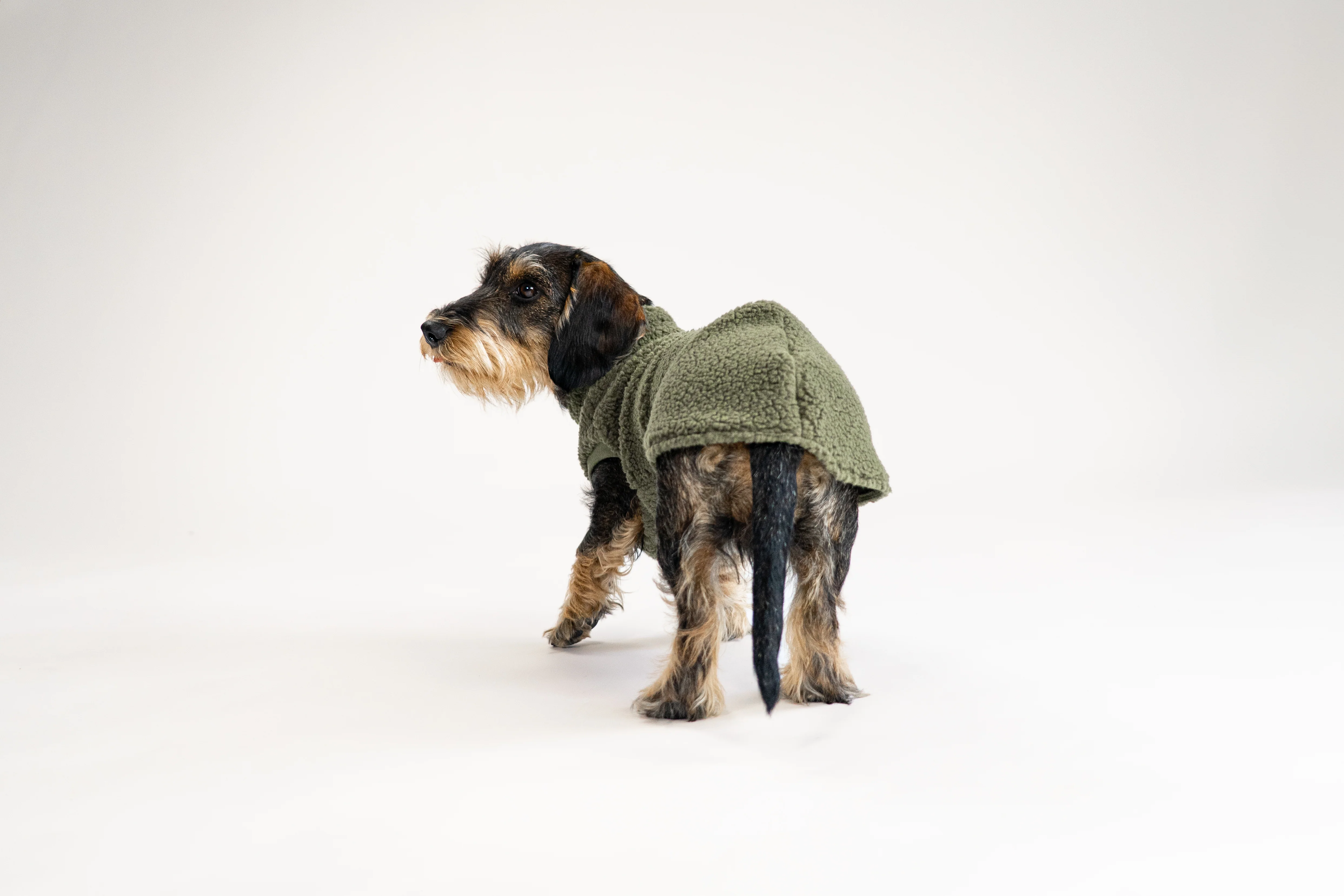 TEDDY SHIRT Dackel Dark Olive - Image 5