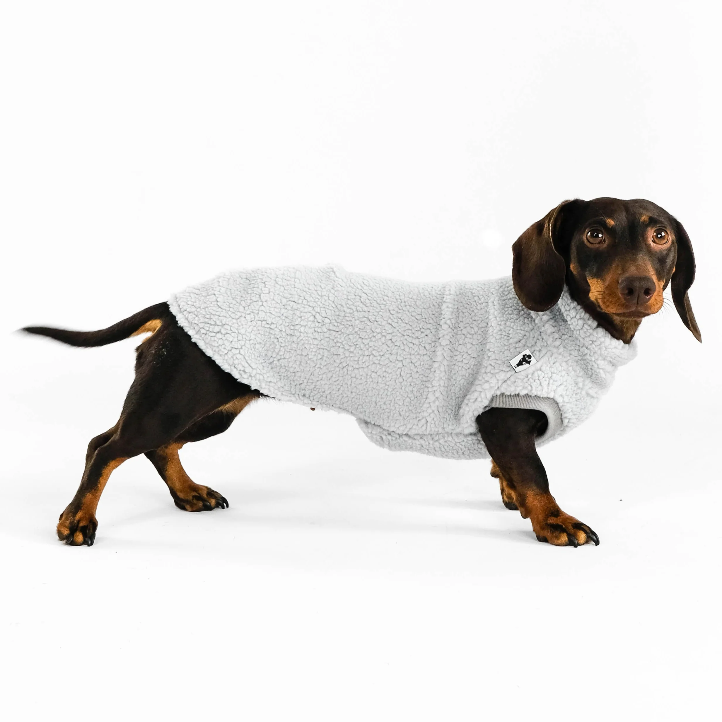 TEDDY SHIRT Dackel Light Grey - Image 7
