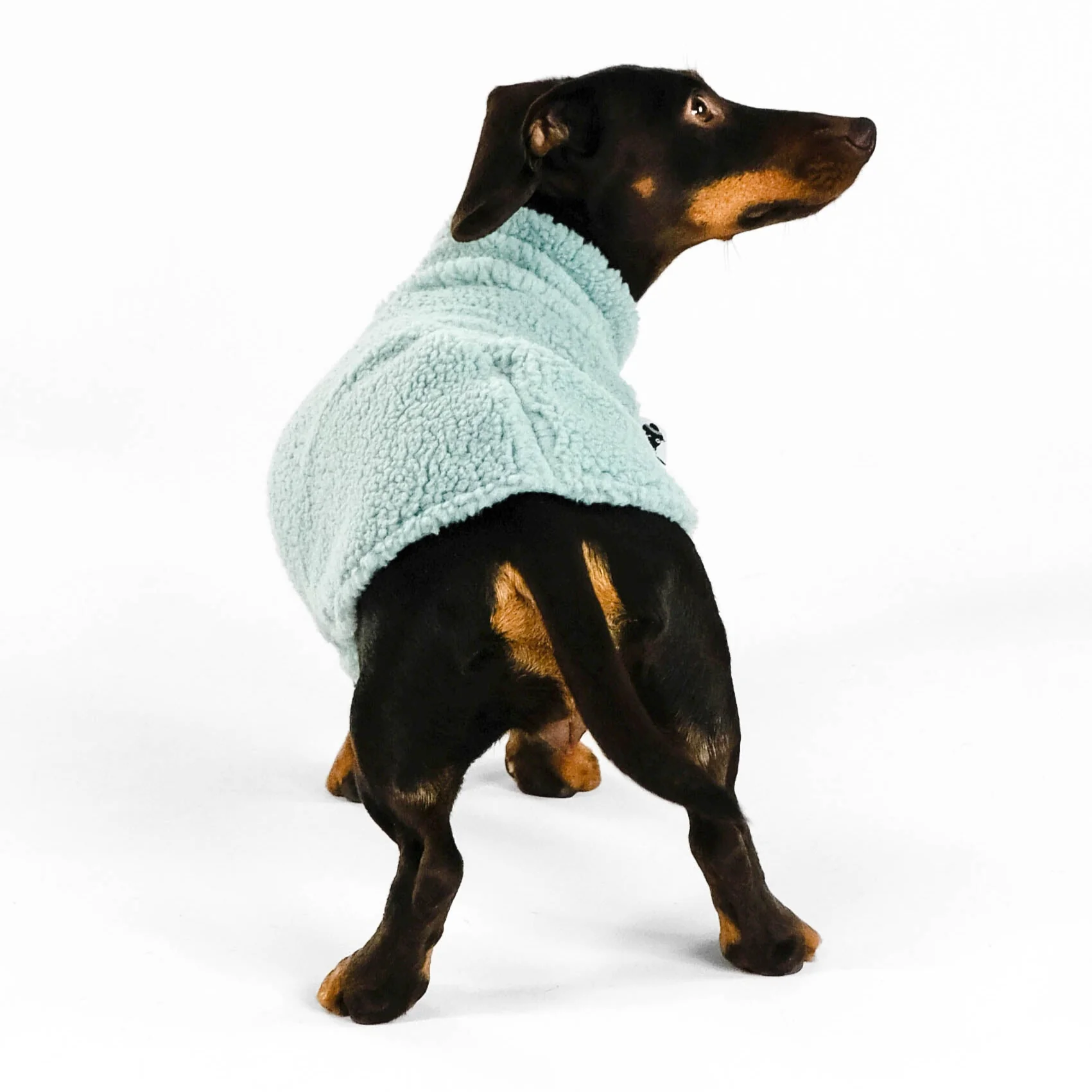 TEDDY SHIRT Dackel Mint - Image 4