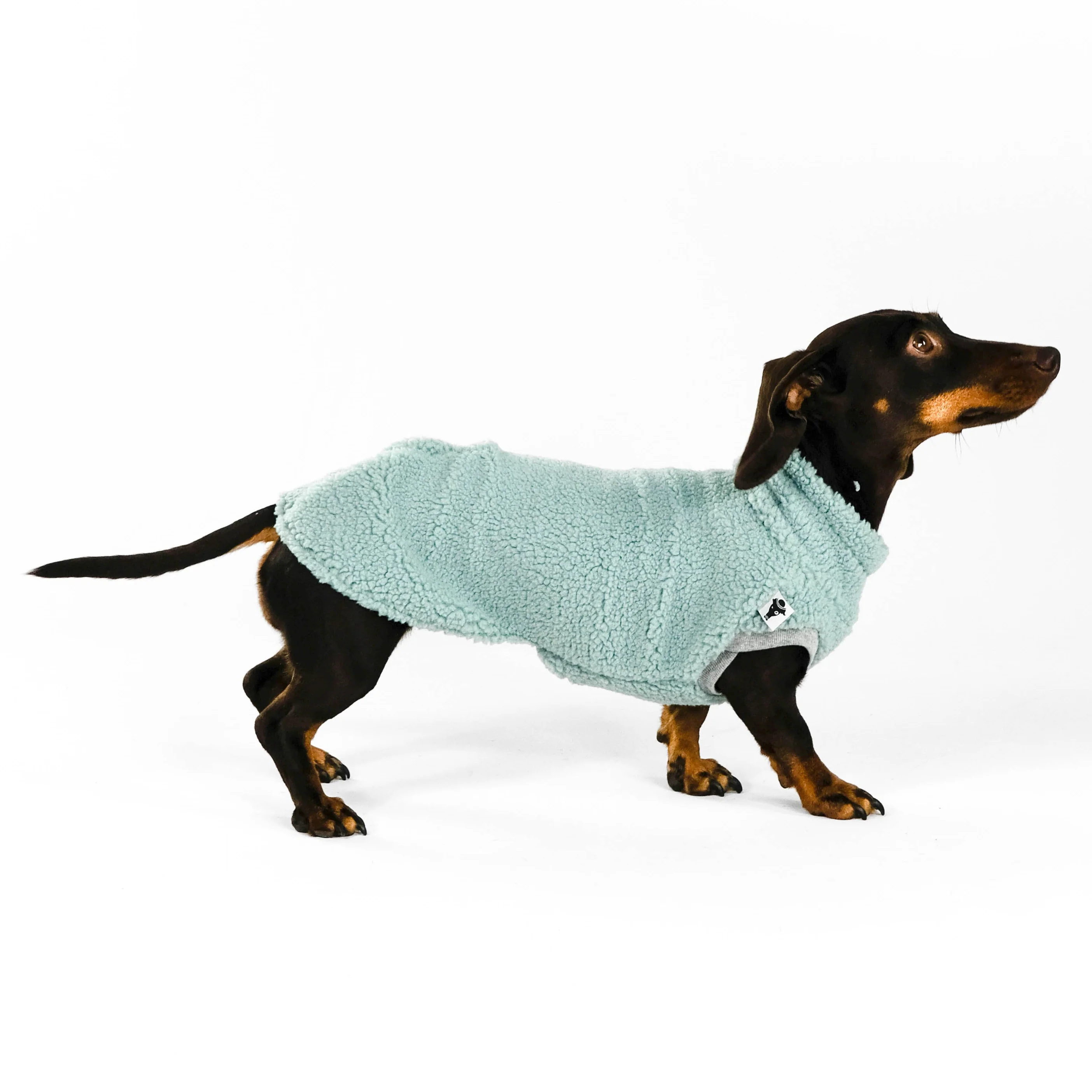 TEDDY SHIRT Dackel Mint - Image 5