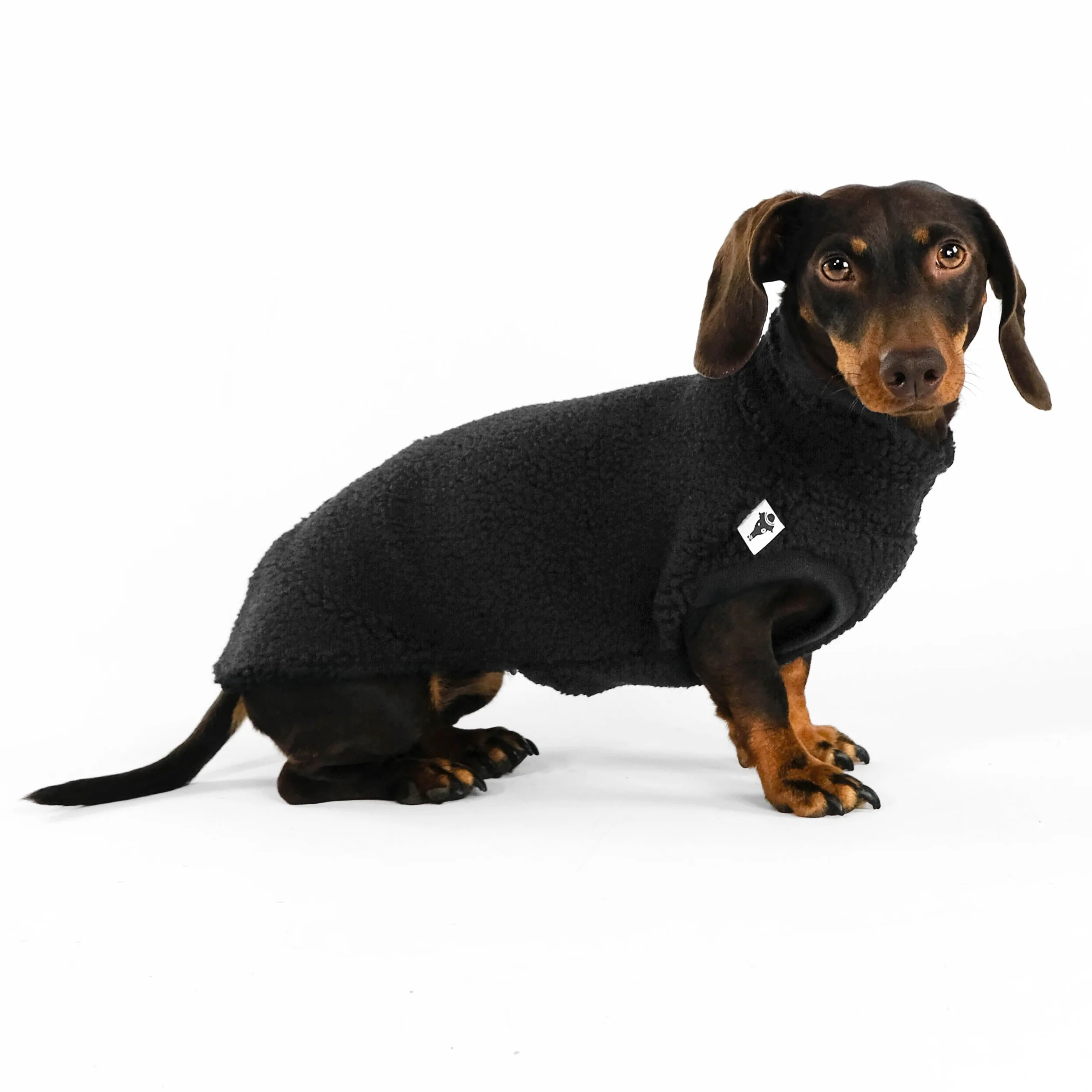 TEDDY SHIRT Dackel Schwarz - Image 4