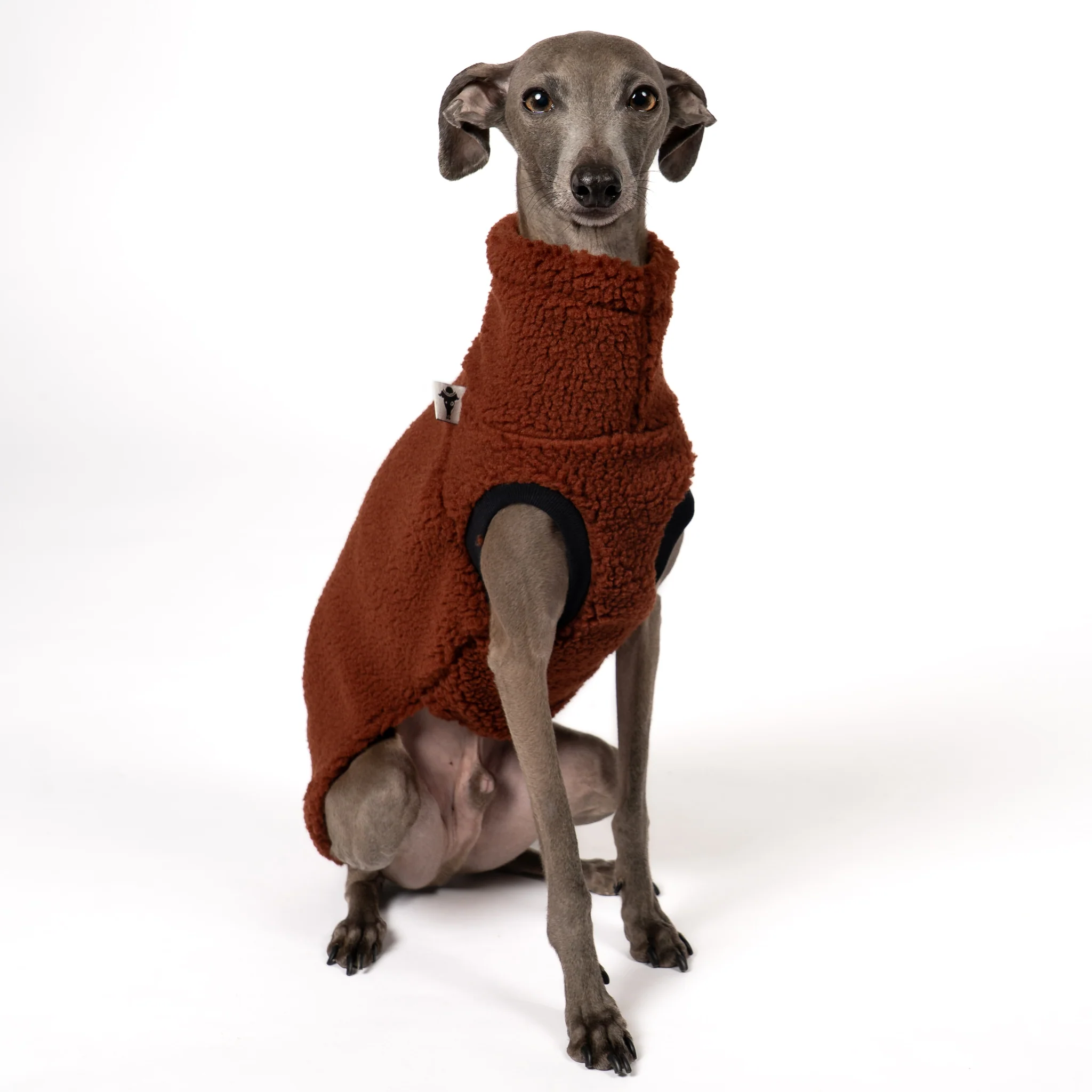 TEDDY SHIRT Iggy Brown - Image 5
