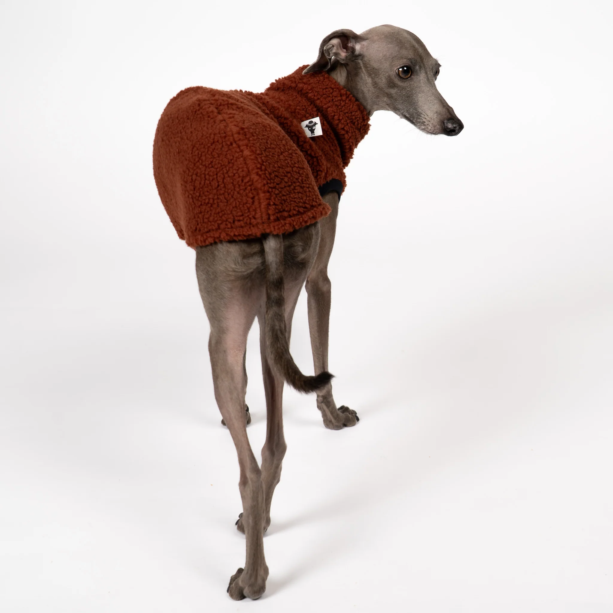 TEDDY SHIRT Iggy Brown - Image 6