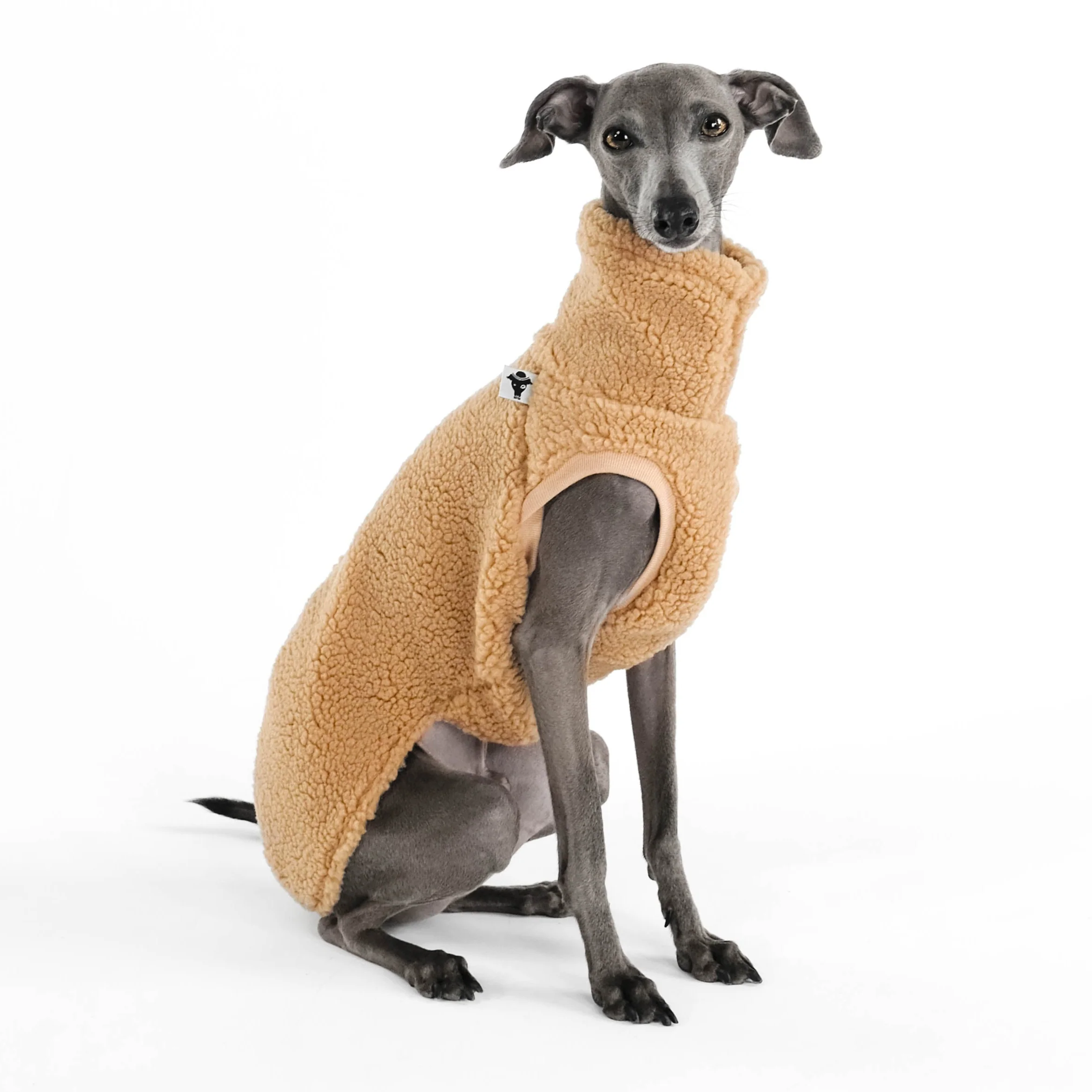 TEDDY SHIRT Iggy Camel - Image 4