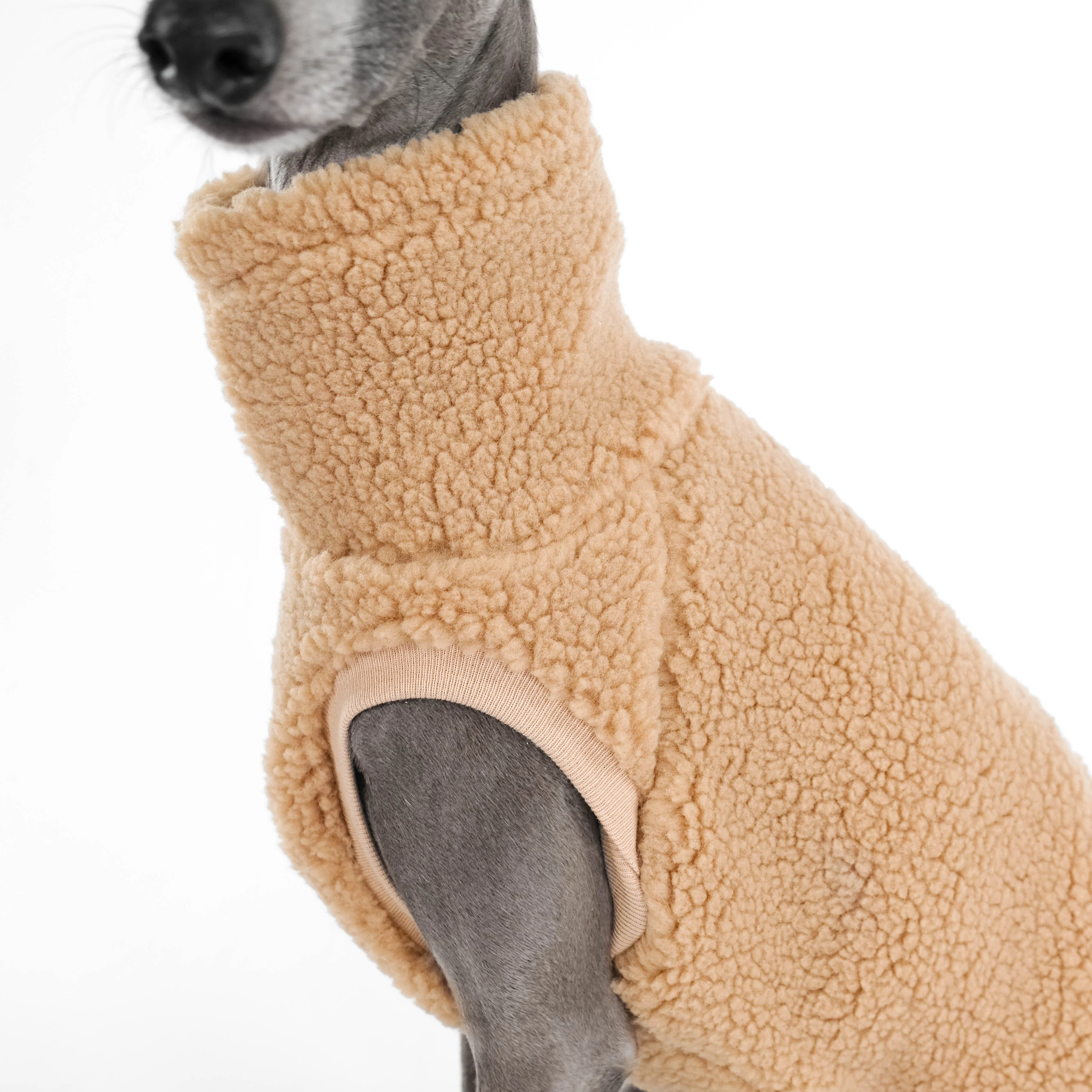 TEDDY SHIRT Iggy Camel - Image 5