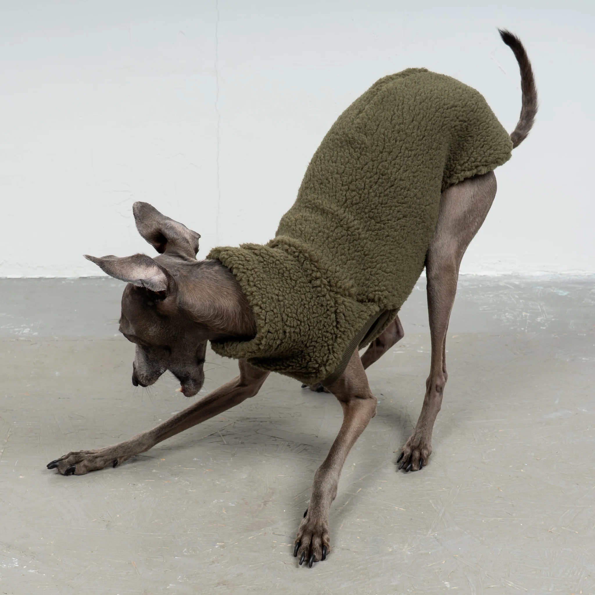 TEDDY SHIRT Iggy Dark Olive - Image 2