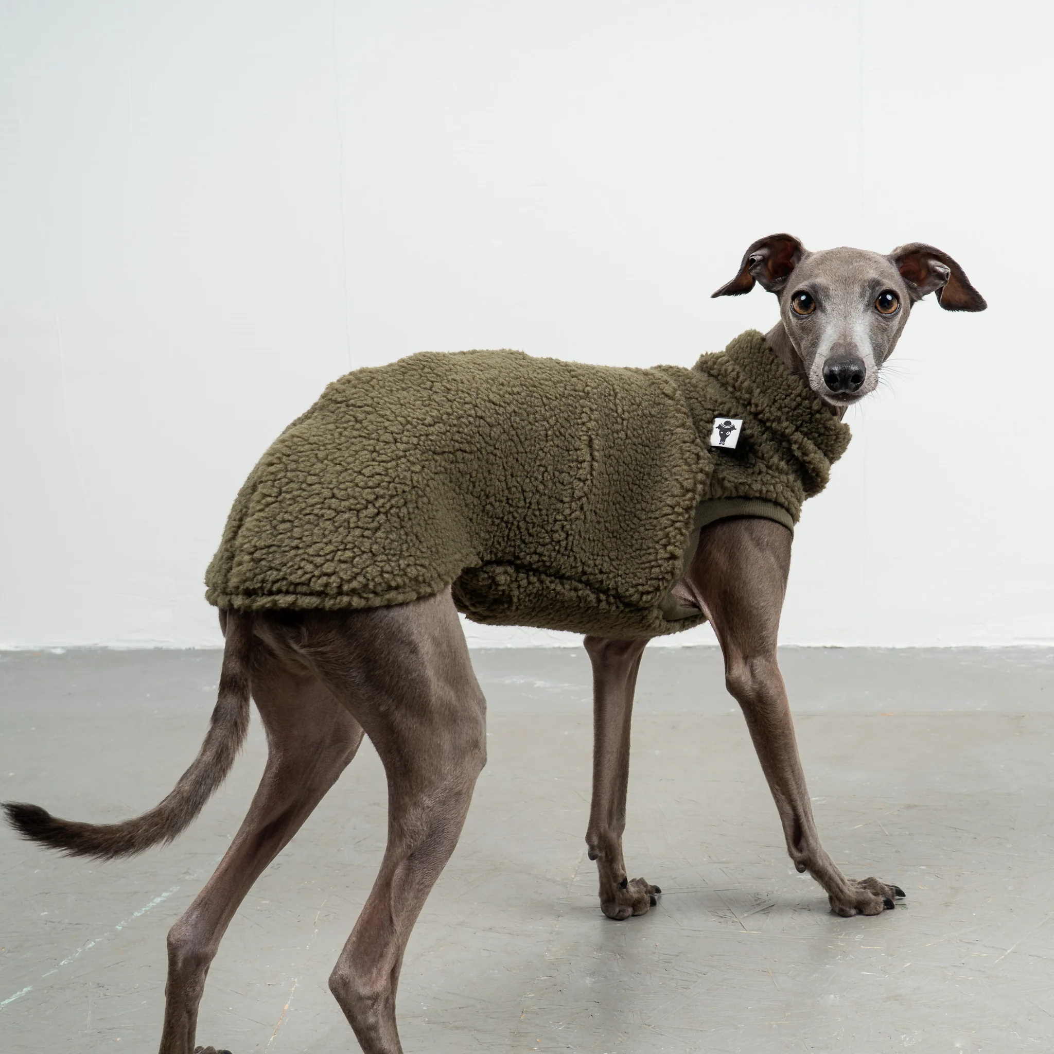 TEDDY SHIRT Iggy Dark Olive - Image 3