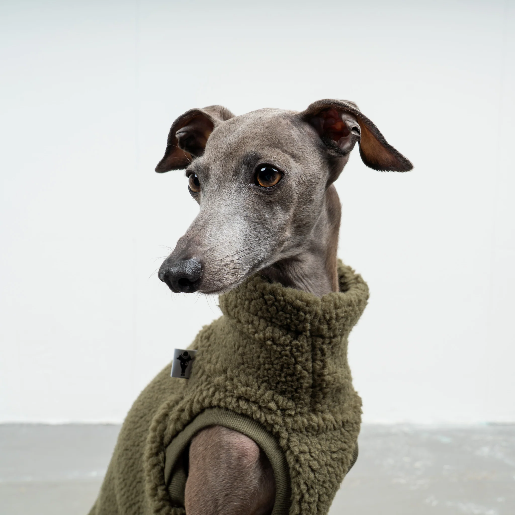 TEDDY SHIRT Iggy Dark Olive - Image 5