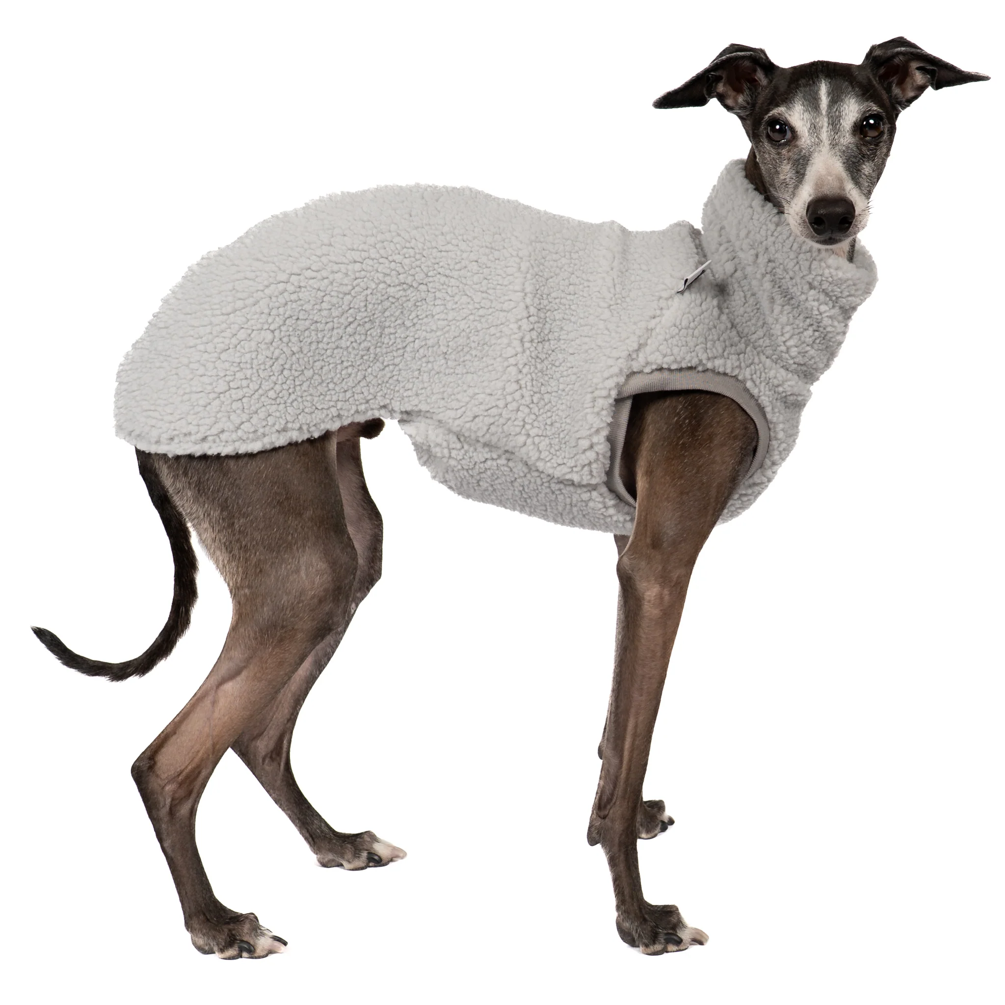 TEDDY SHIRT Iggy Light Grey