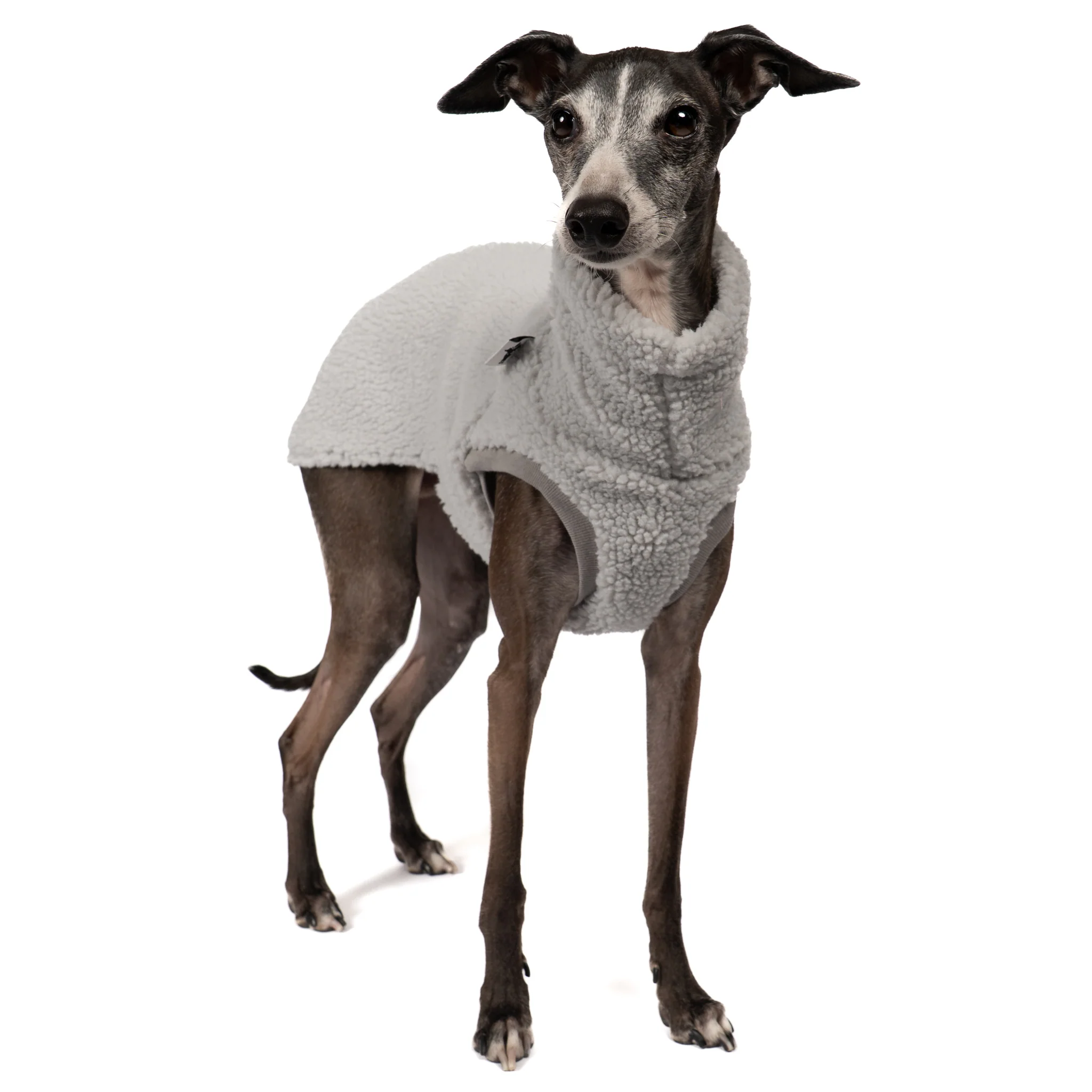 TEDDY SHIRT Iggy Light Grey - Image 4