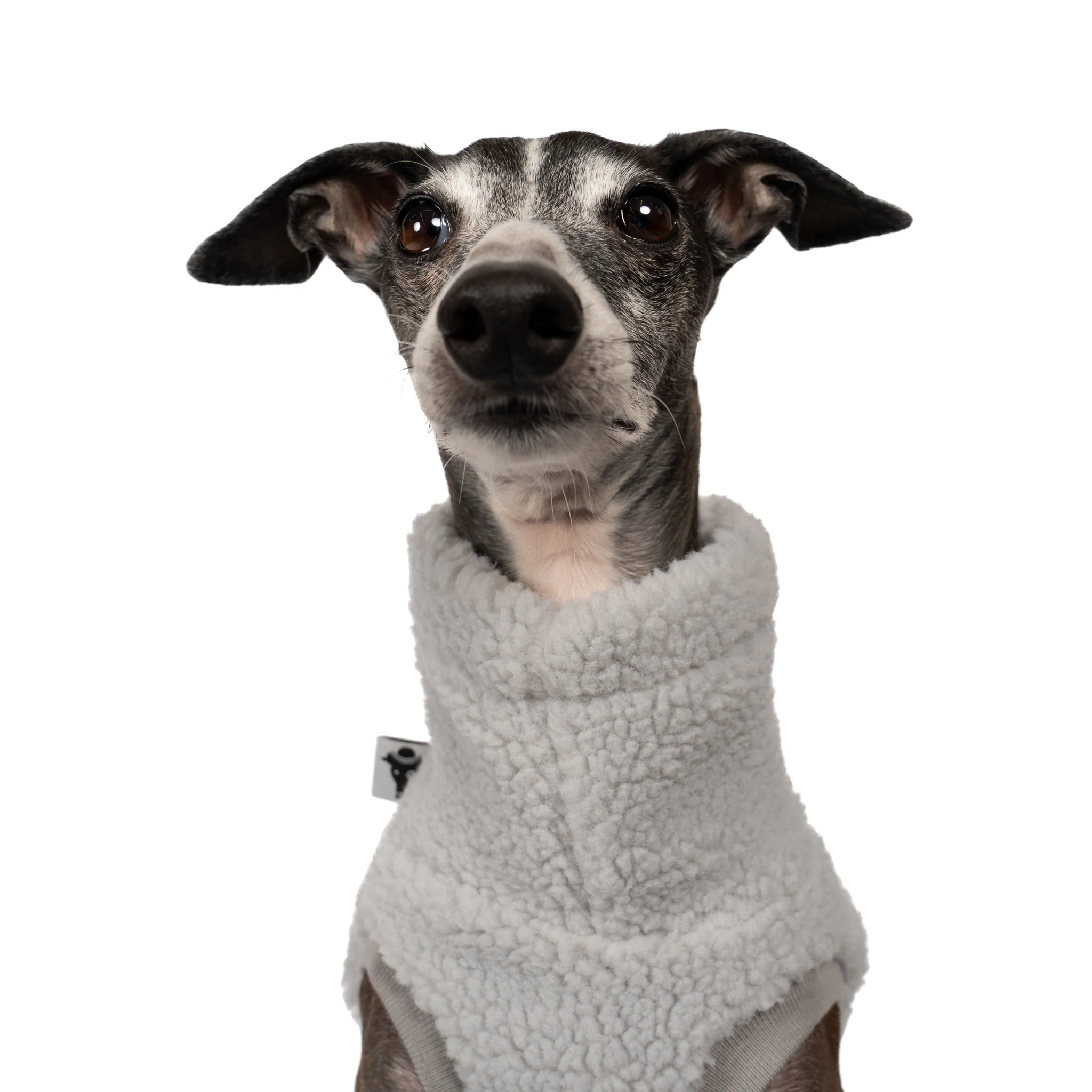 TEDDY SHIRT Iggy Light Grey - Image 5