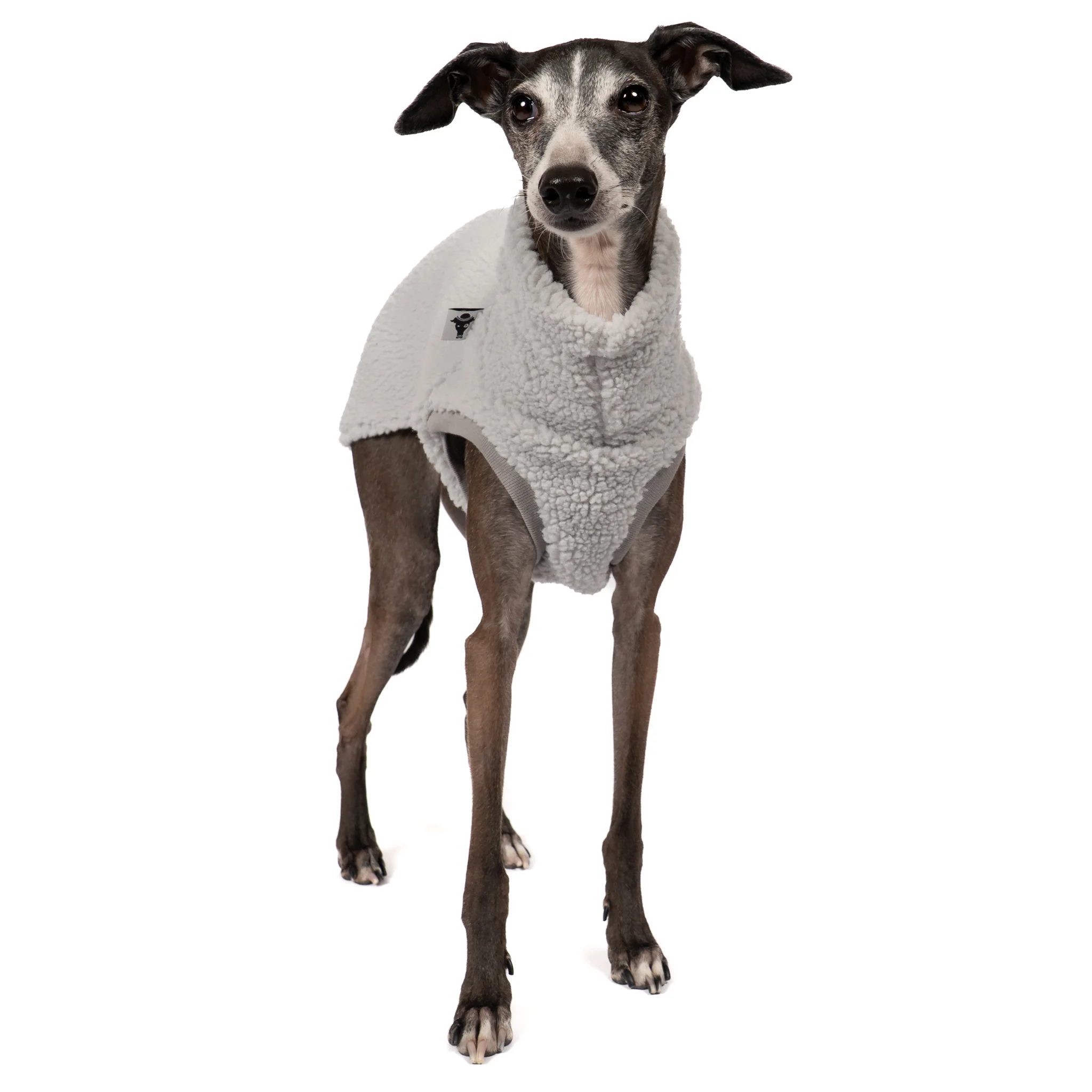 TEDDY SHIRT Iggy Light Grey - Image 6