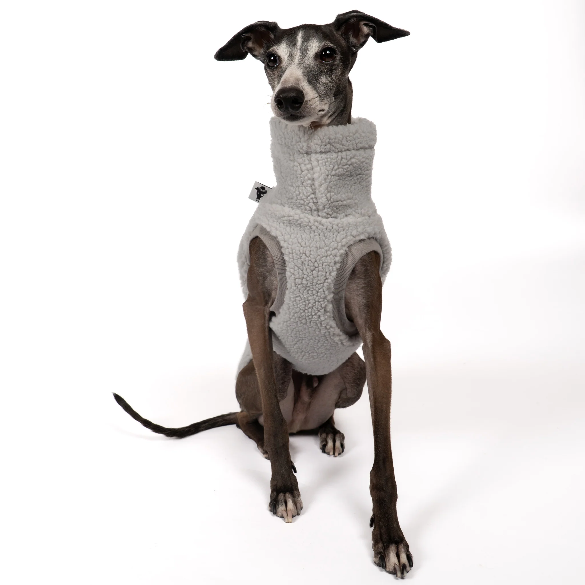 TEDDY SHIRT Iggy Light Grey - Image 7