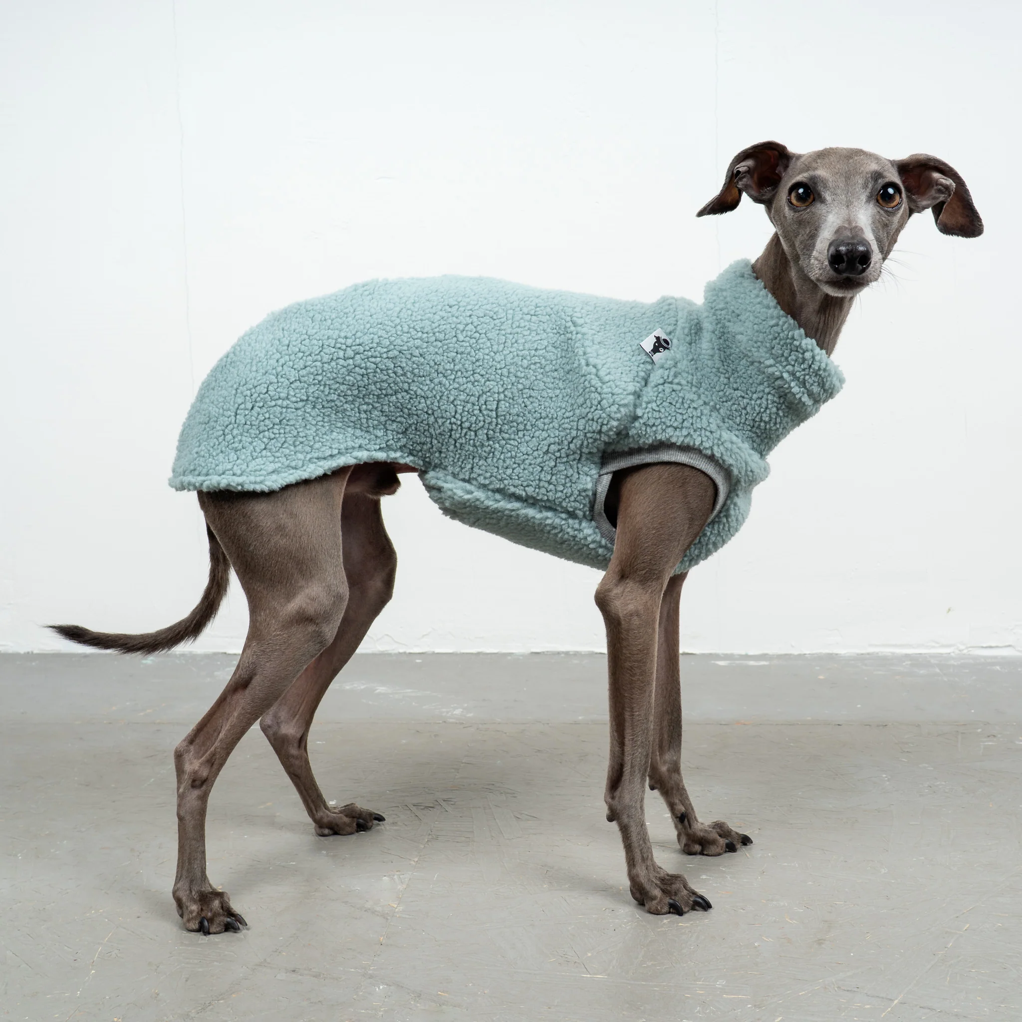 TEDDY SHIRT Iggy Mint
