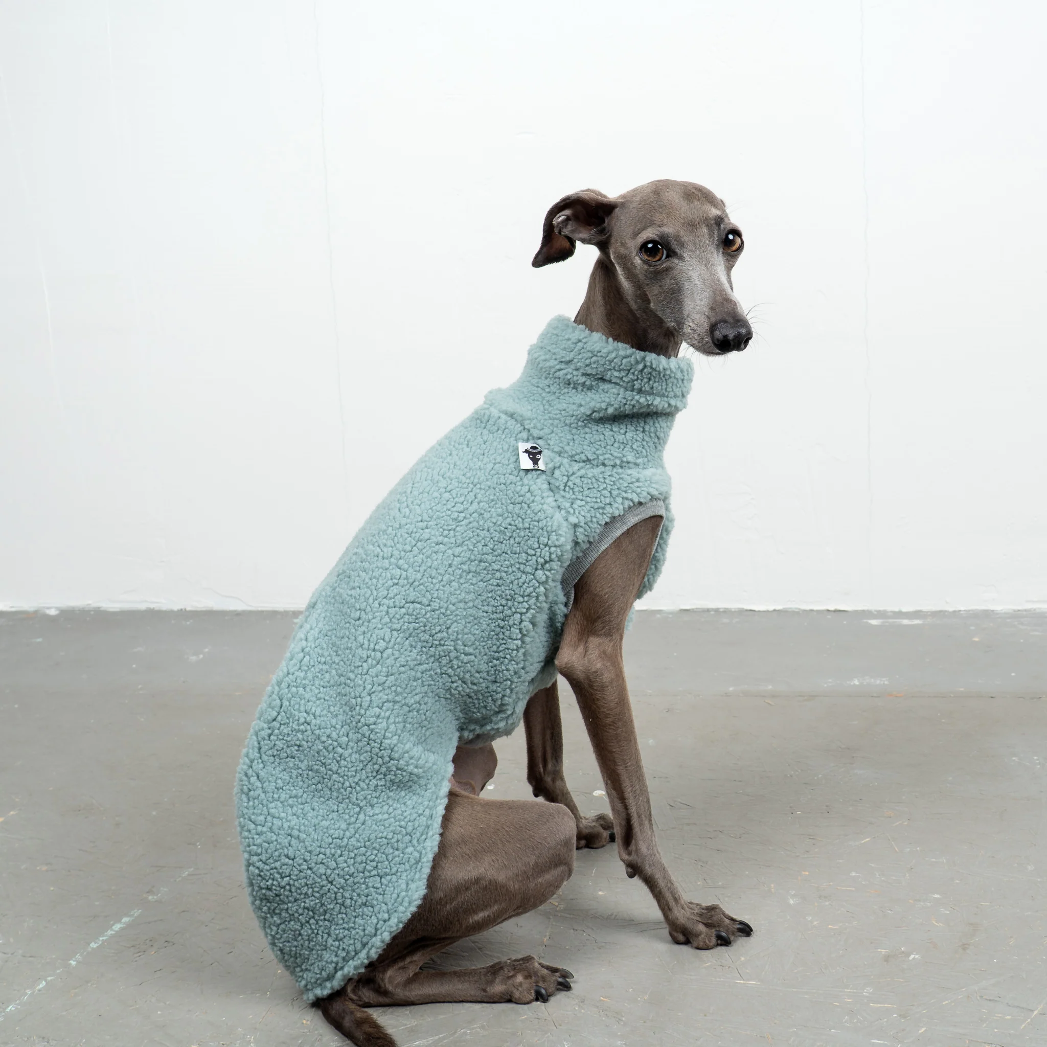 TEDDY SHIRT Iggy Mint - Image 2