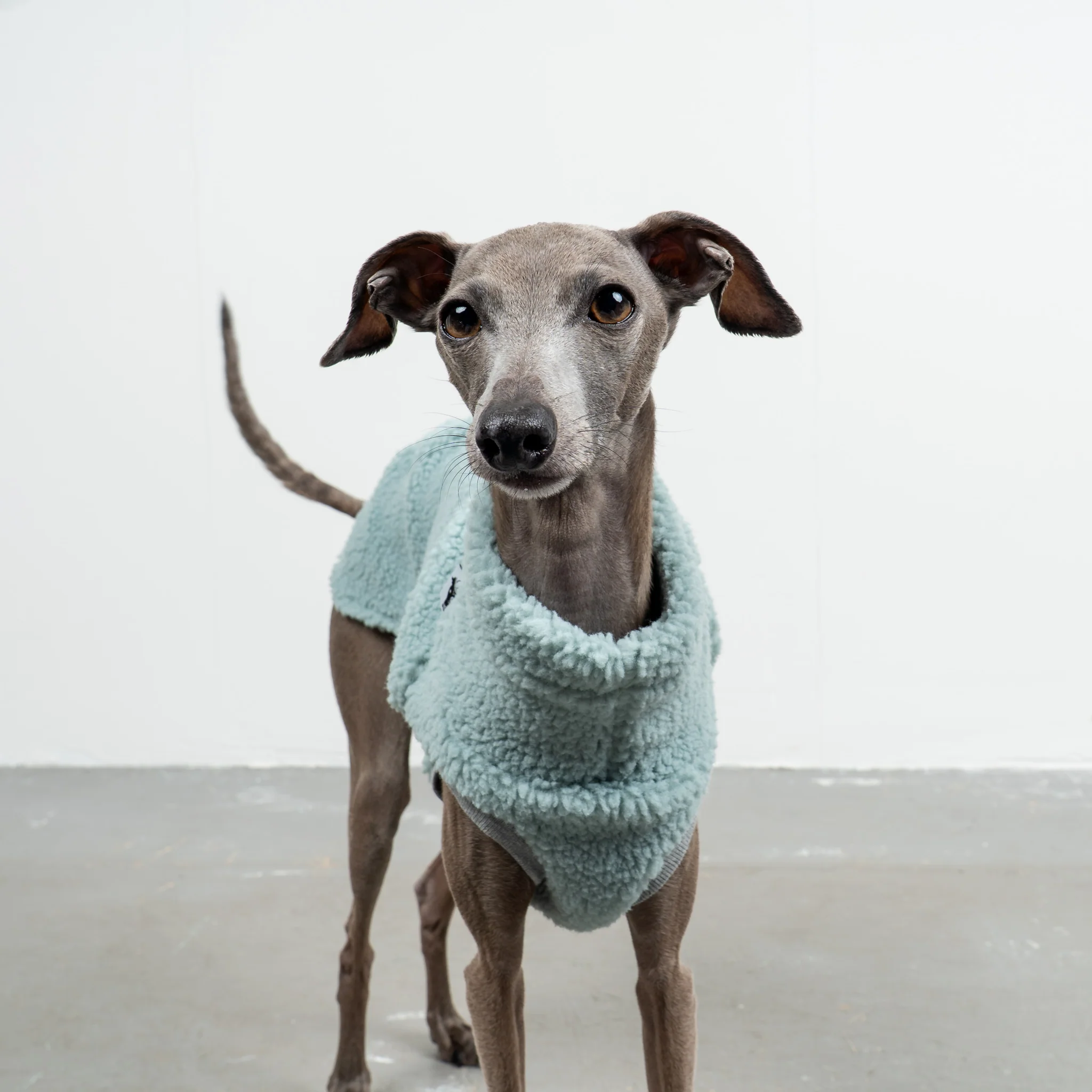 TEDDY SHIRT Iggy Mint - Image 3