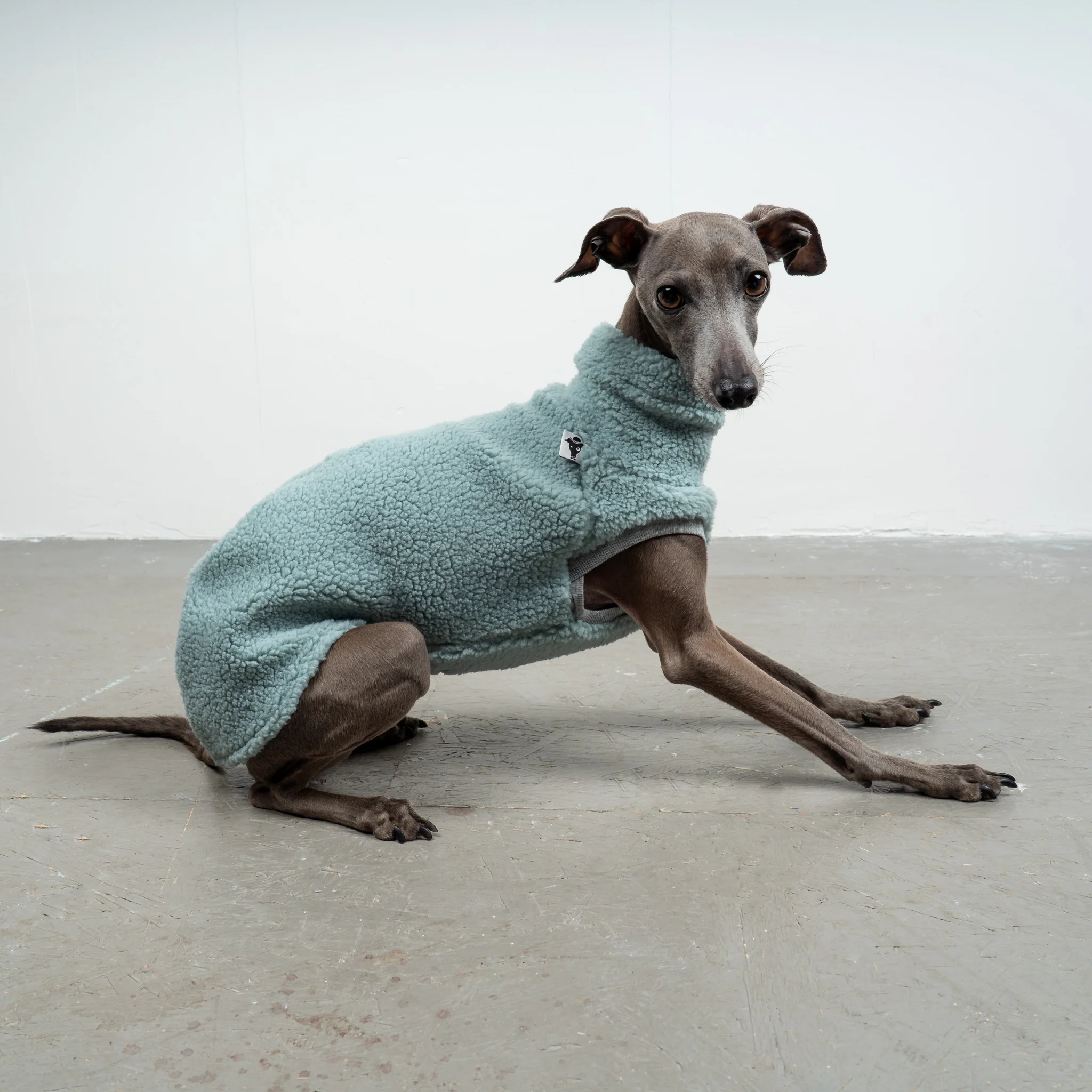 TEDDY SHIRT Iggy Mint - Image 4