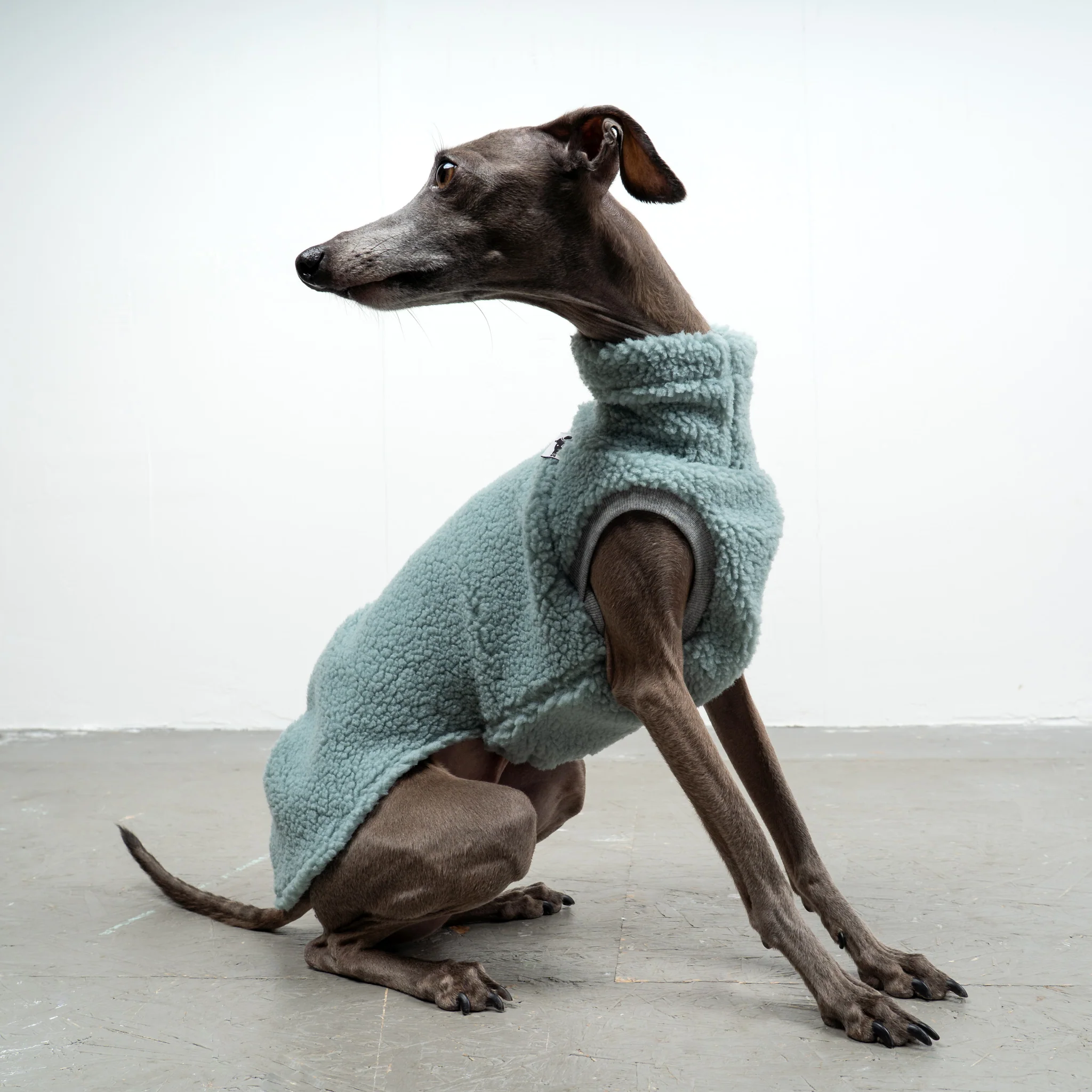 TEDDY SHIRT Iggy Mint - Image 5