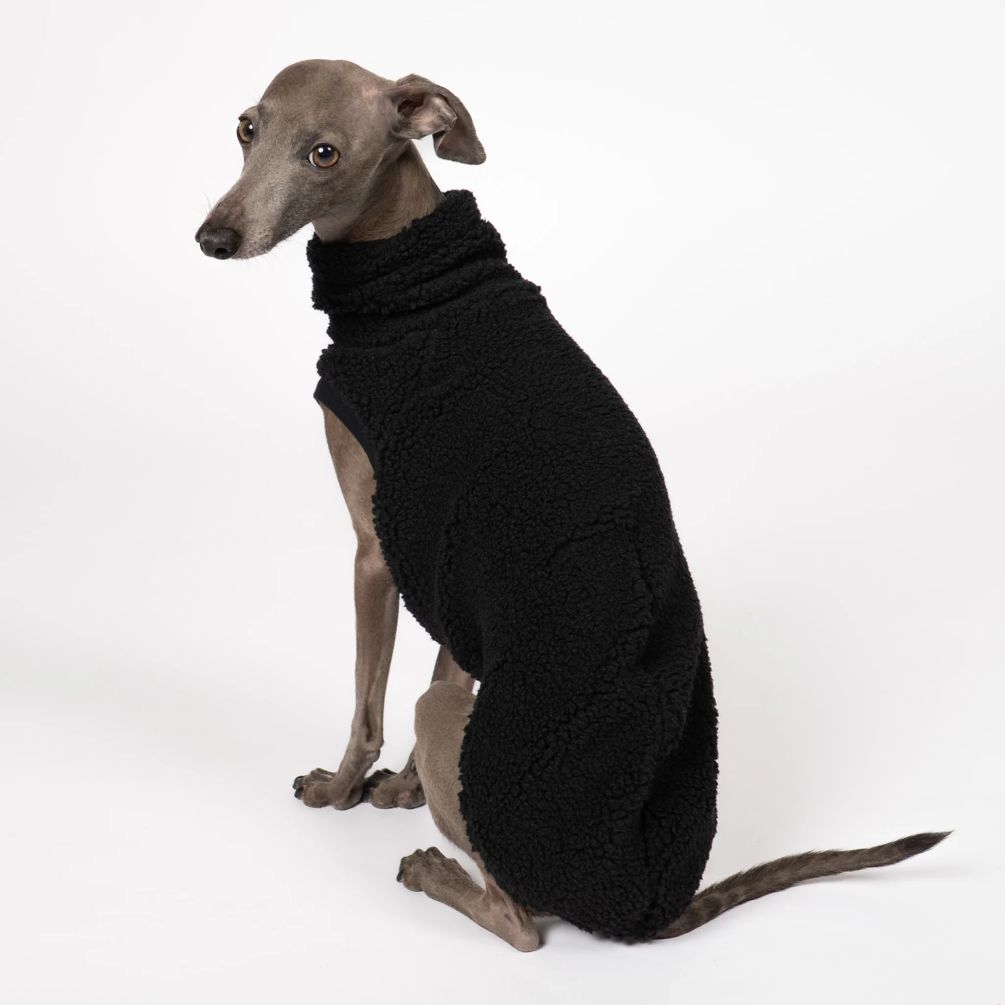 TEDDY SHIRT Iggy Schwarz - Image 5