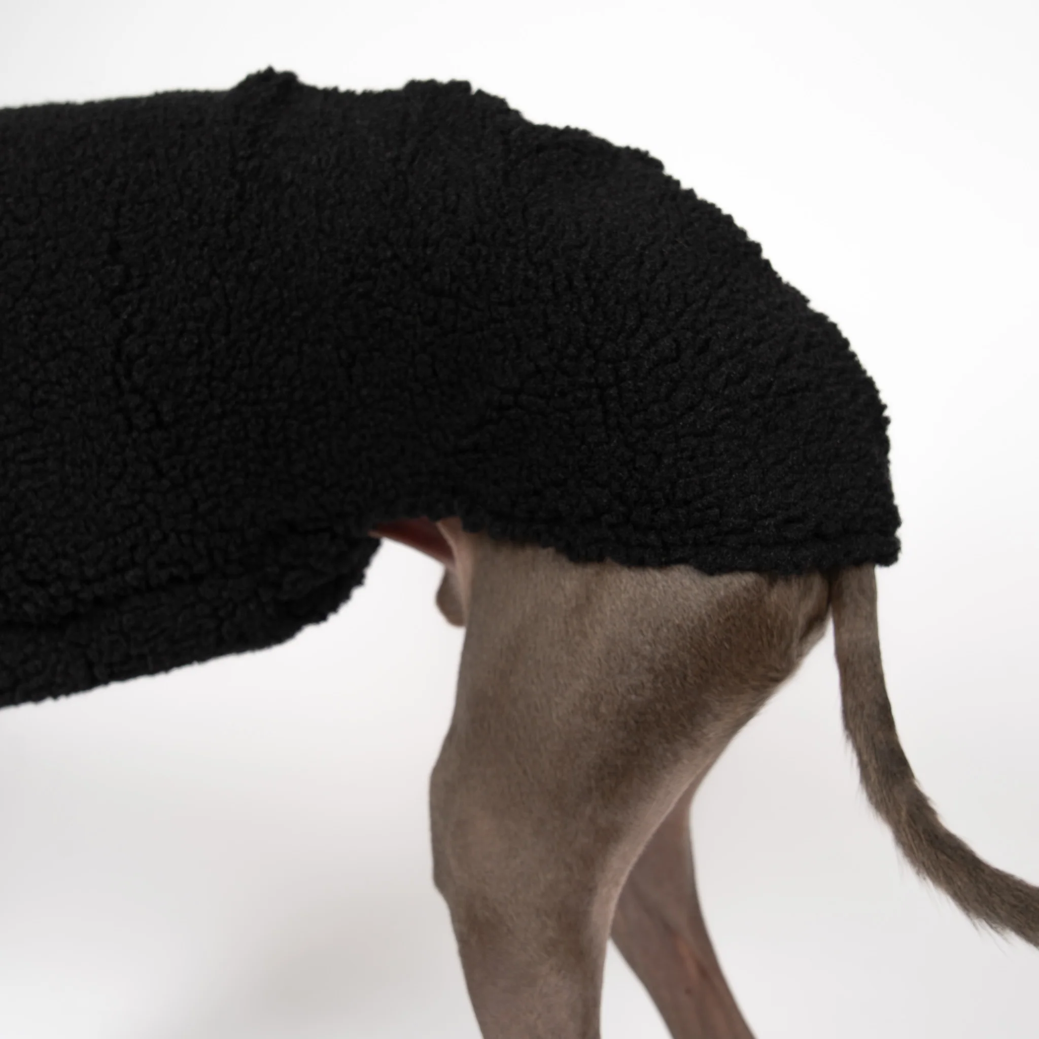 TEDDY SHIRT Iggy Schwarz - Image 7