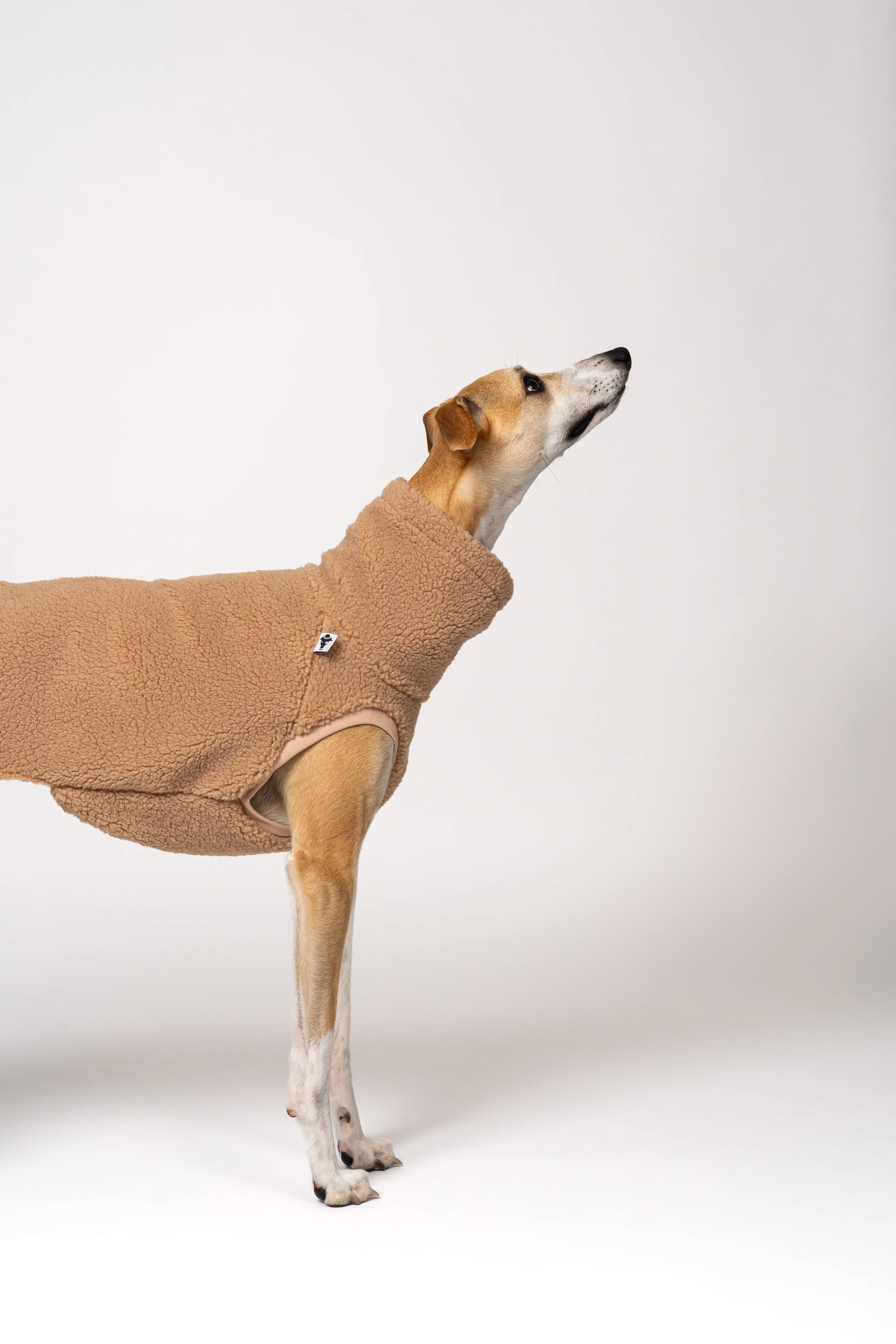 TEDDY SHIRT Windhund Camel - Image 4