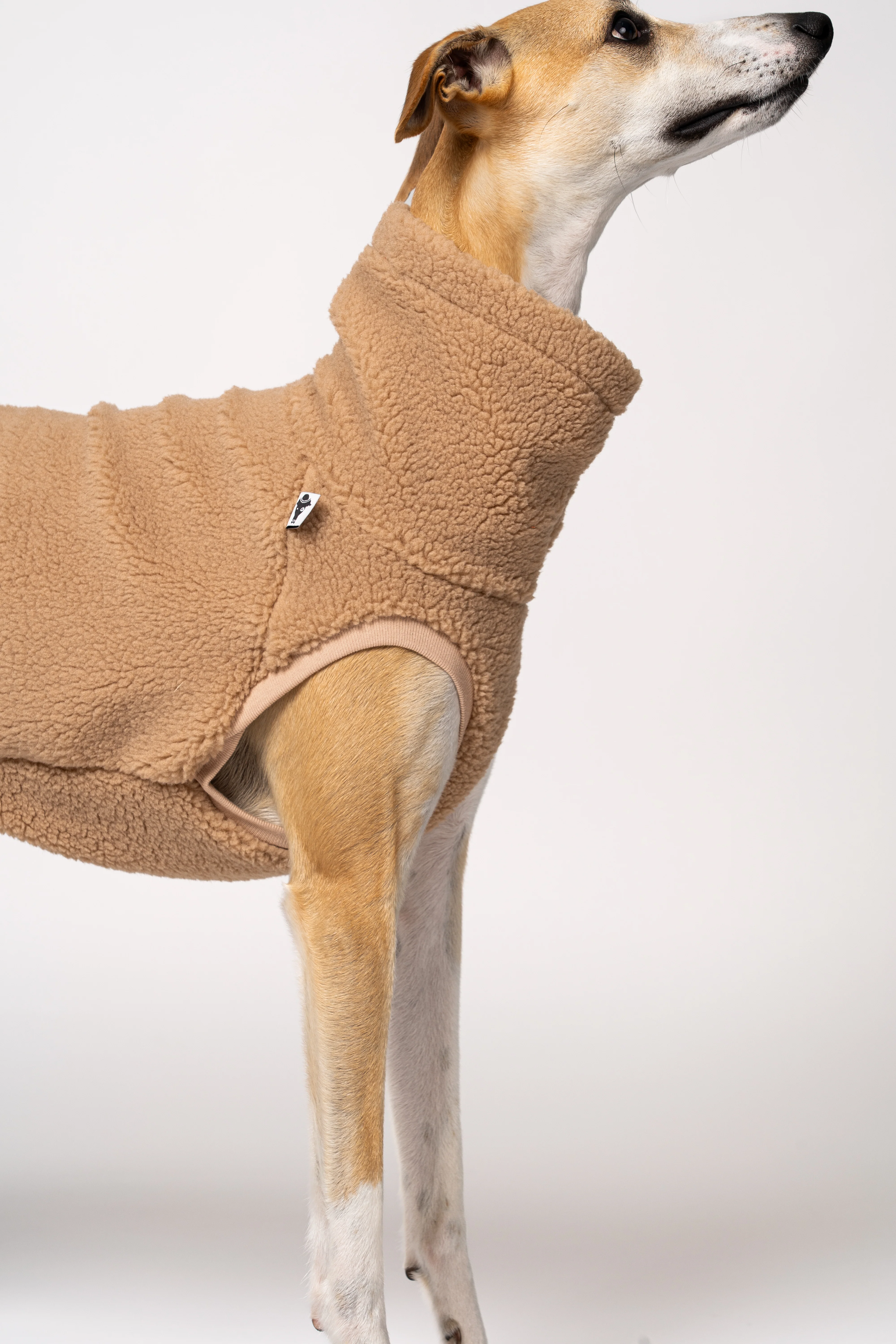 TEDDY SHIRT Windhund Camel - Image 6