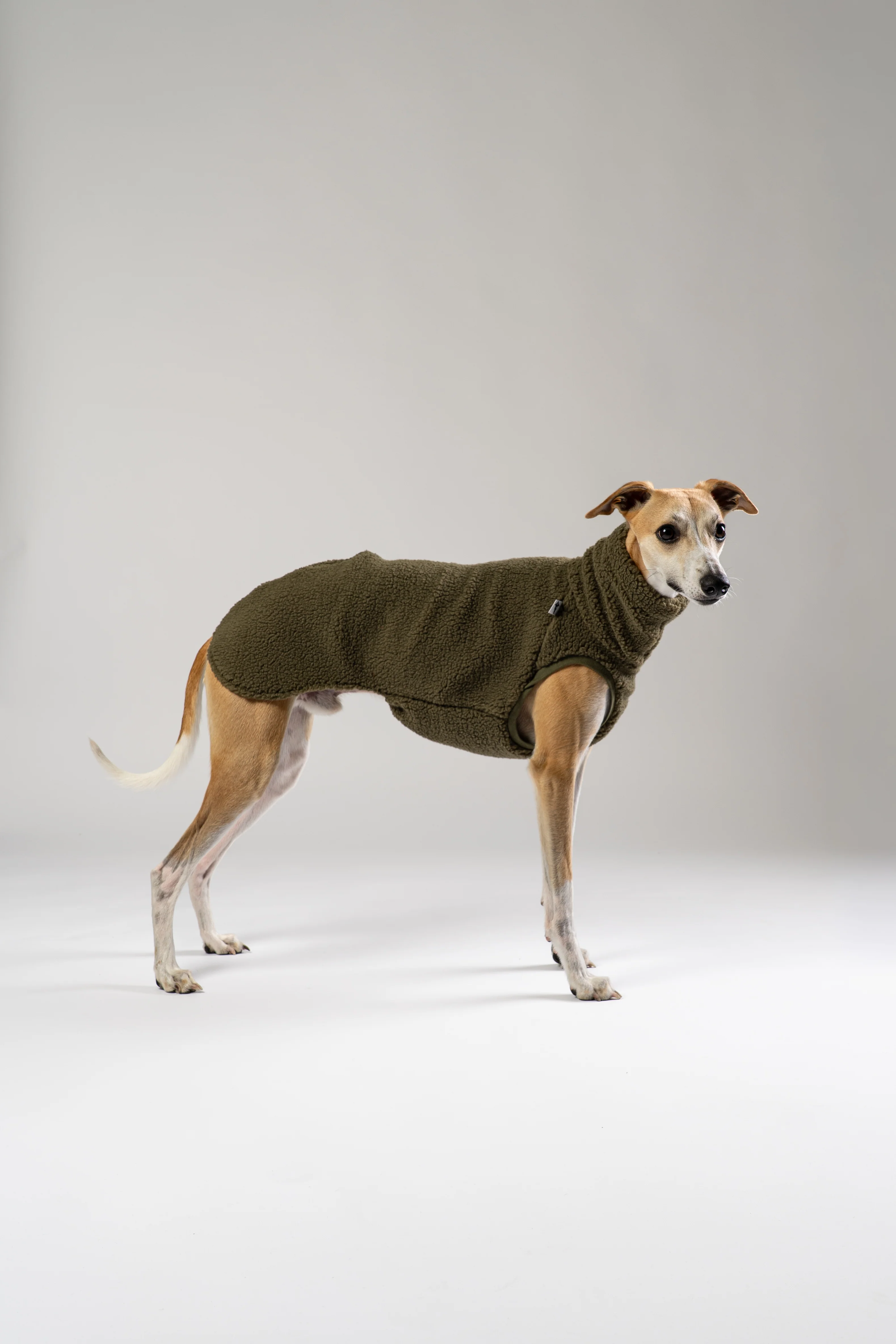 TEDDY SHIRT Windhund Dark Olive - Image 4