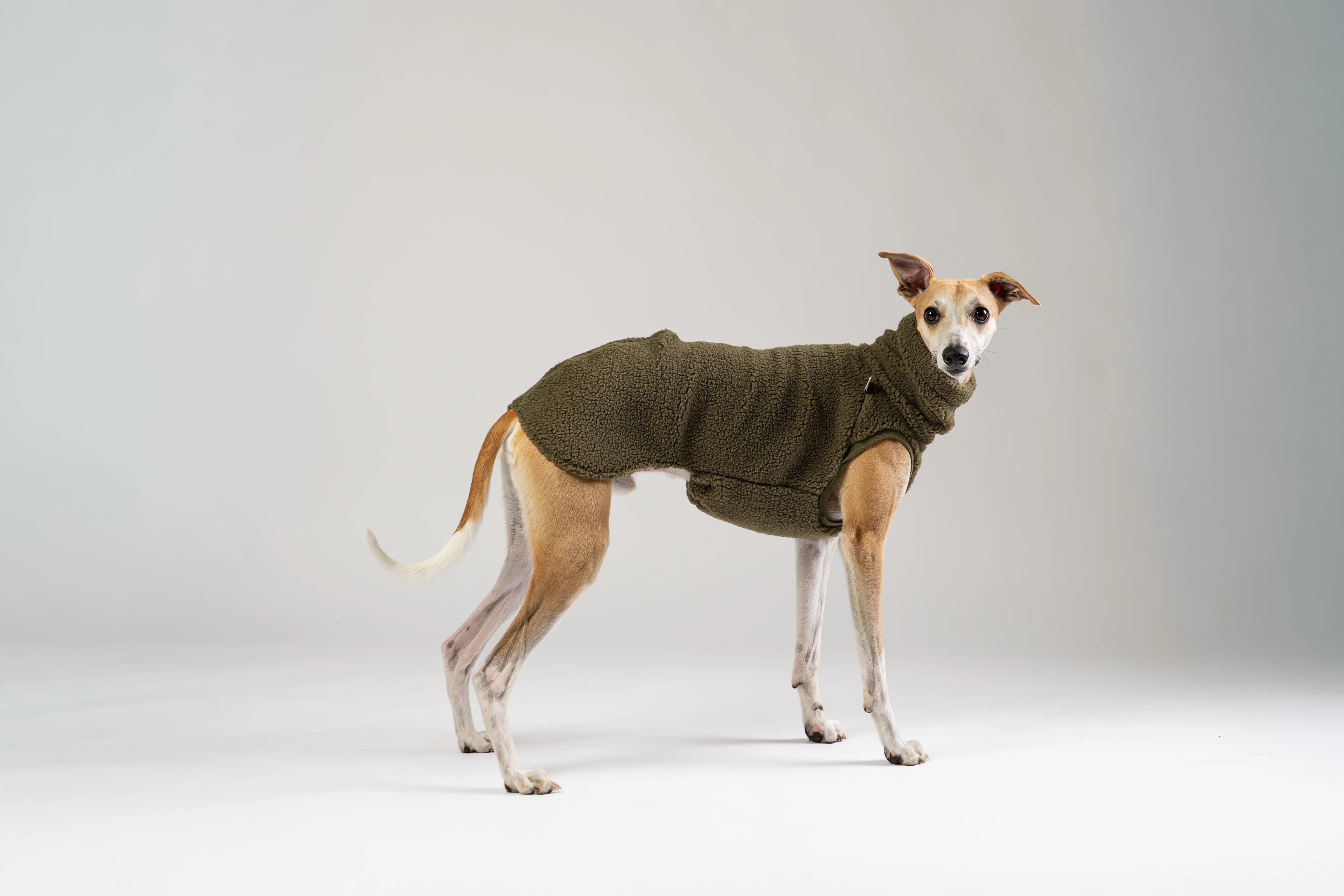 TEDDY SHIRT Windhund Dark Olive - Image 5