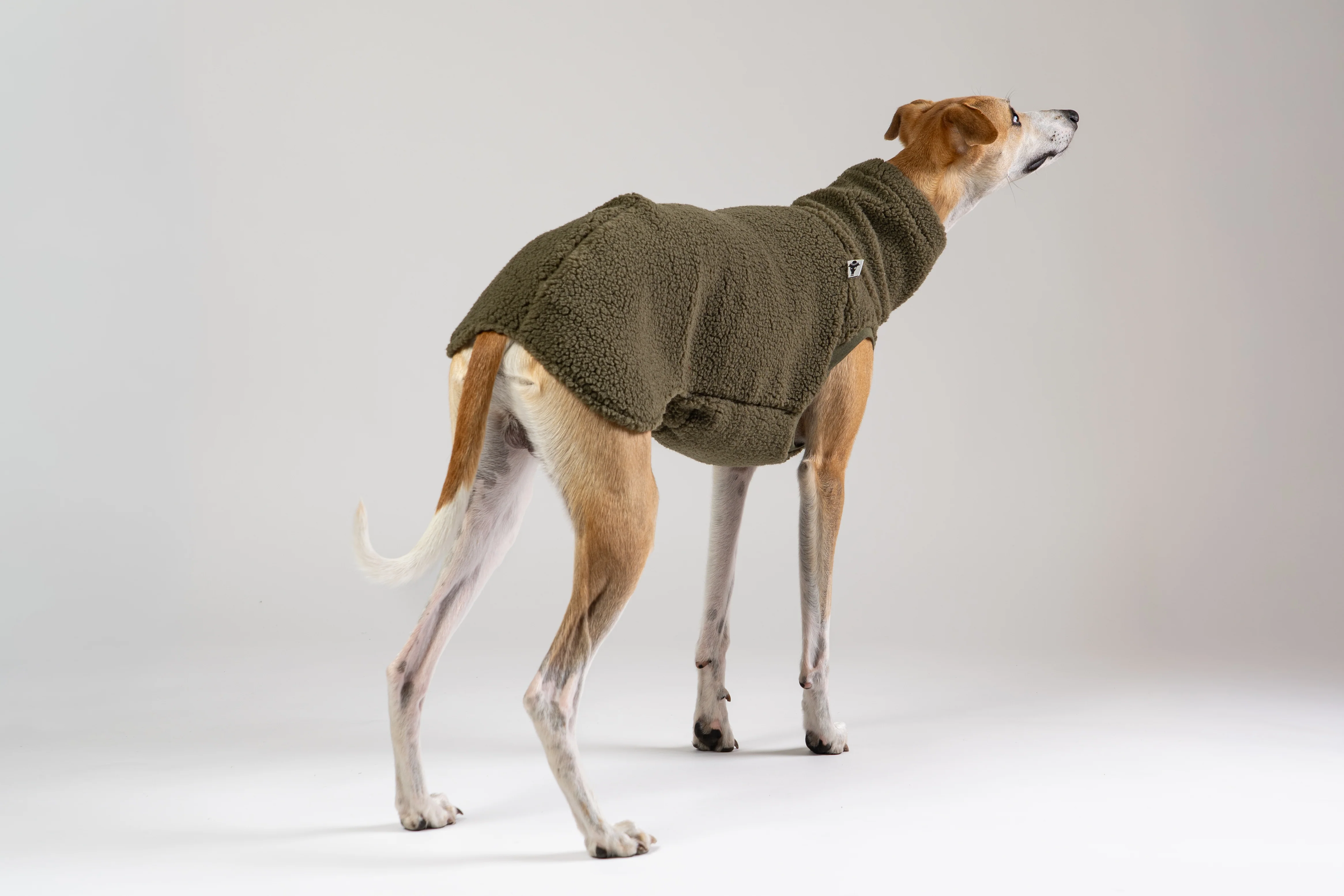 TEDDY SHIRT Windhund Dark Olive - Image 6
