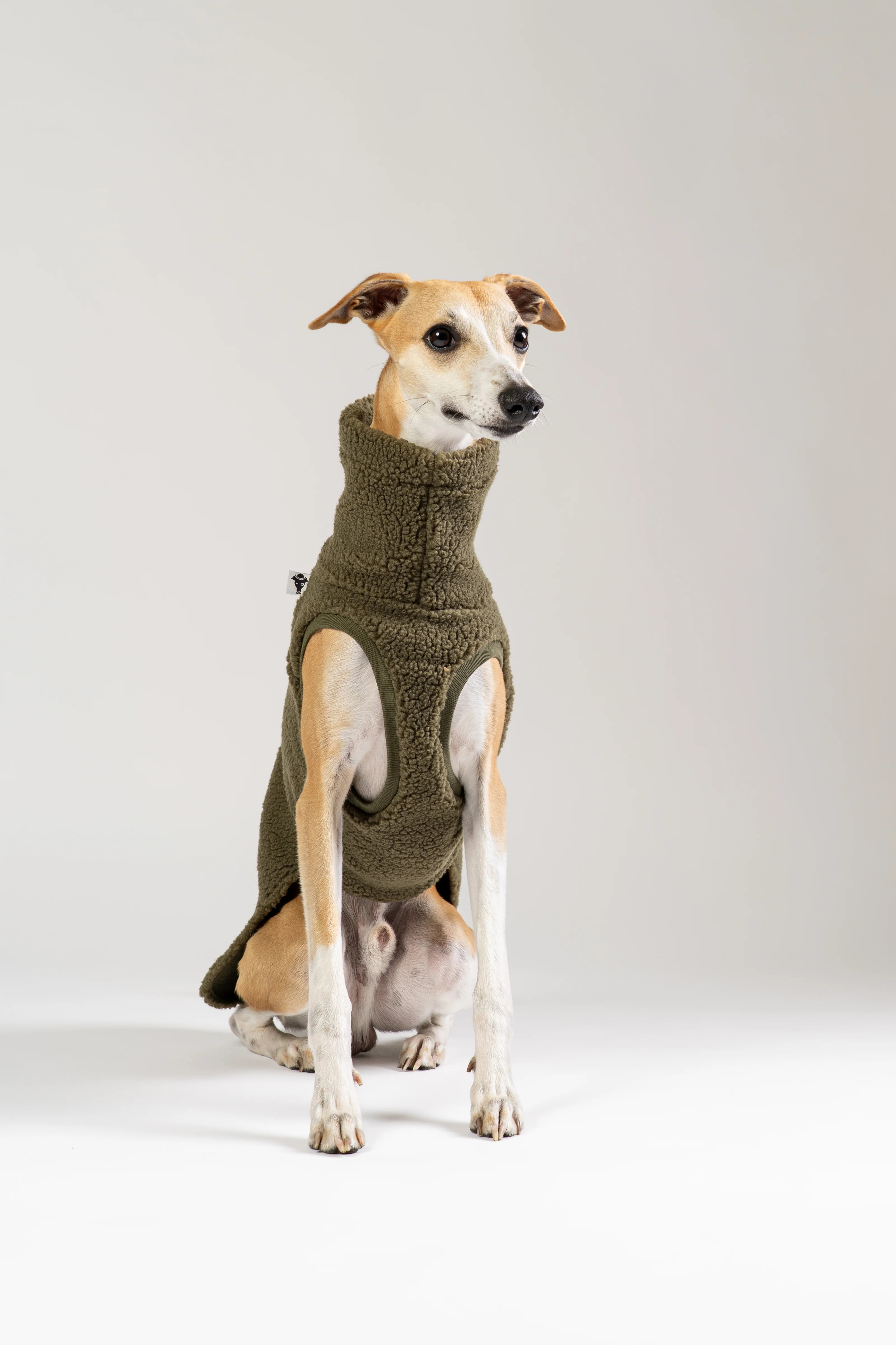 TEDDY SHIRT Windhund Dark Olive - Image 7