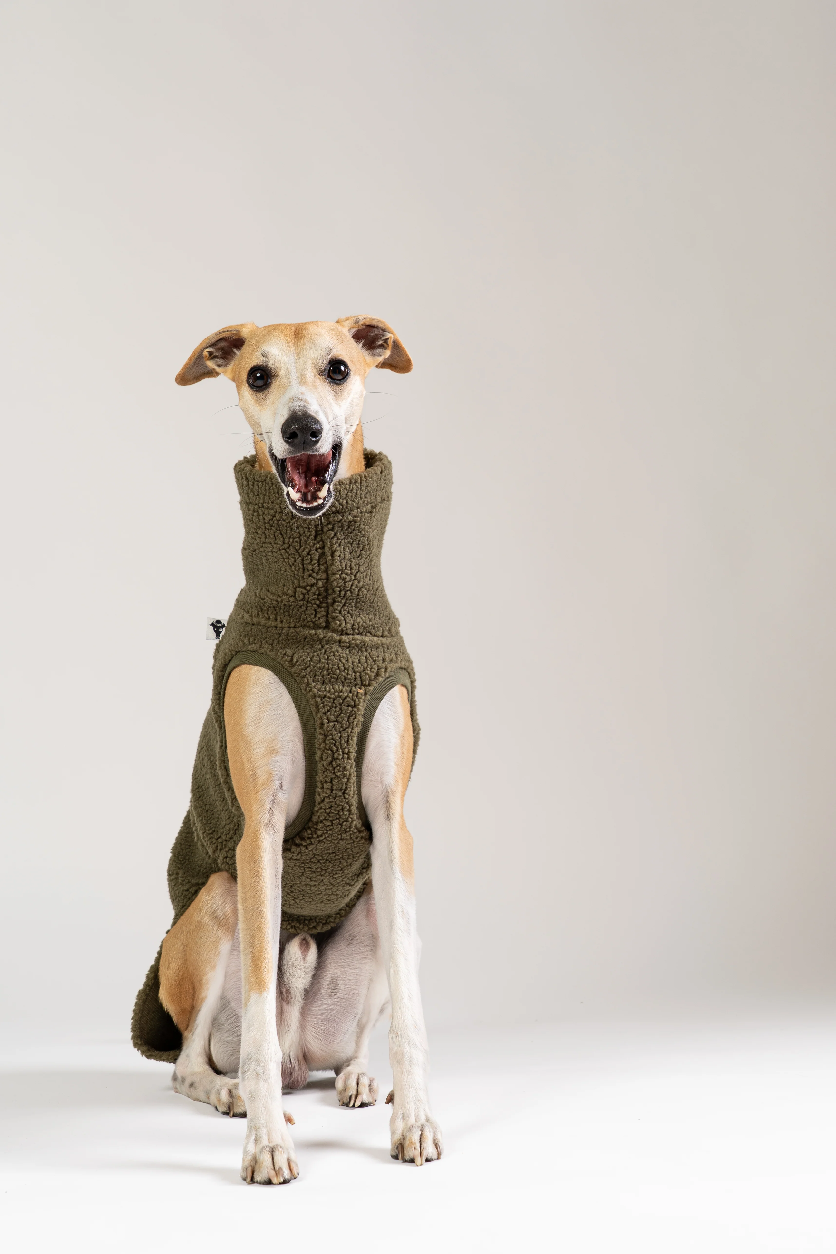 TEDDY SHIRT Windhund Dark Olive - Image 8