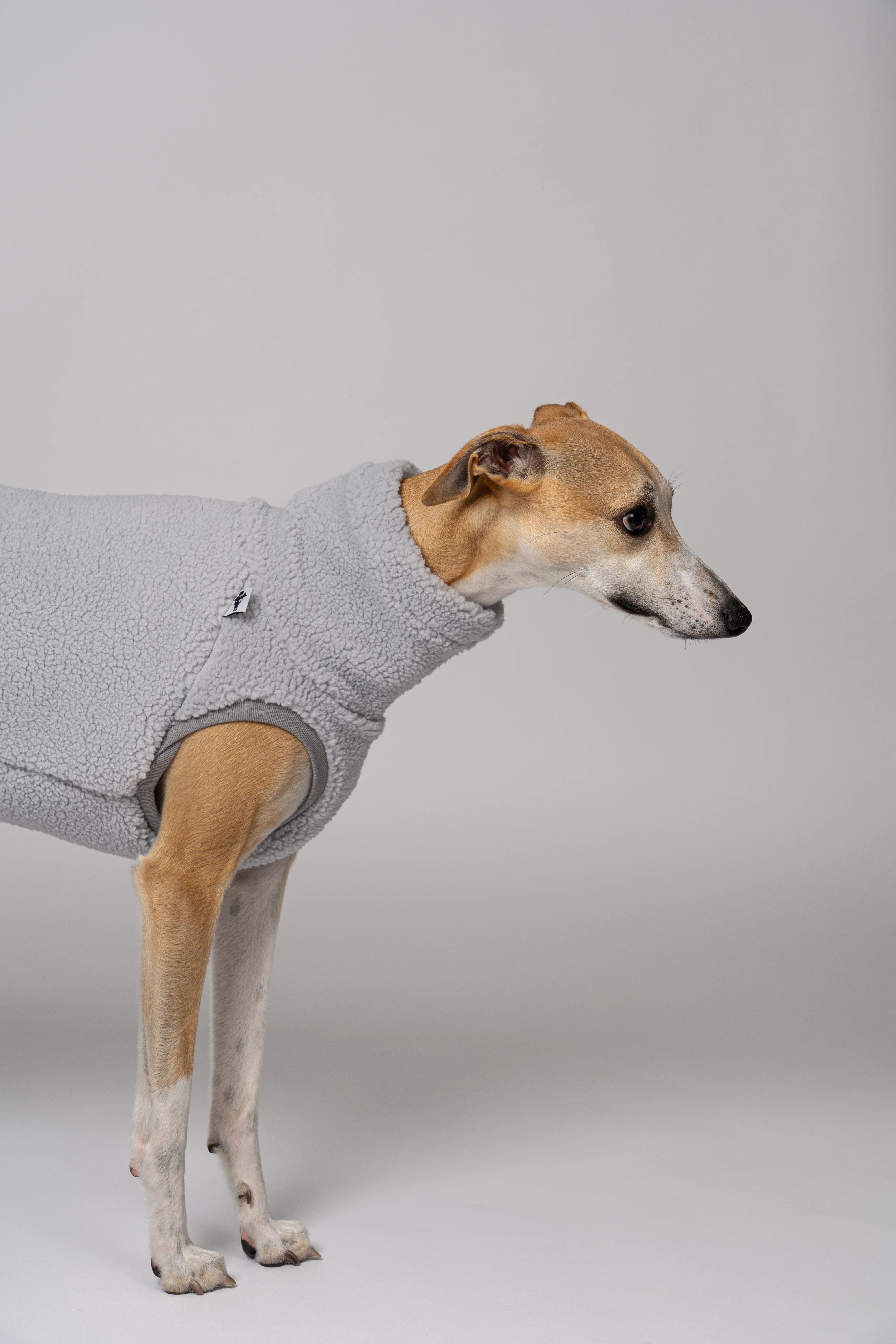 TEDDY SHIRT Windhund Light Grey - Image 4