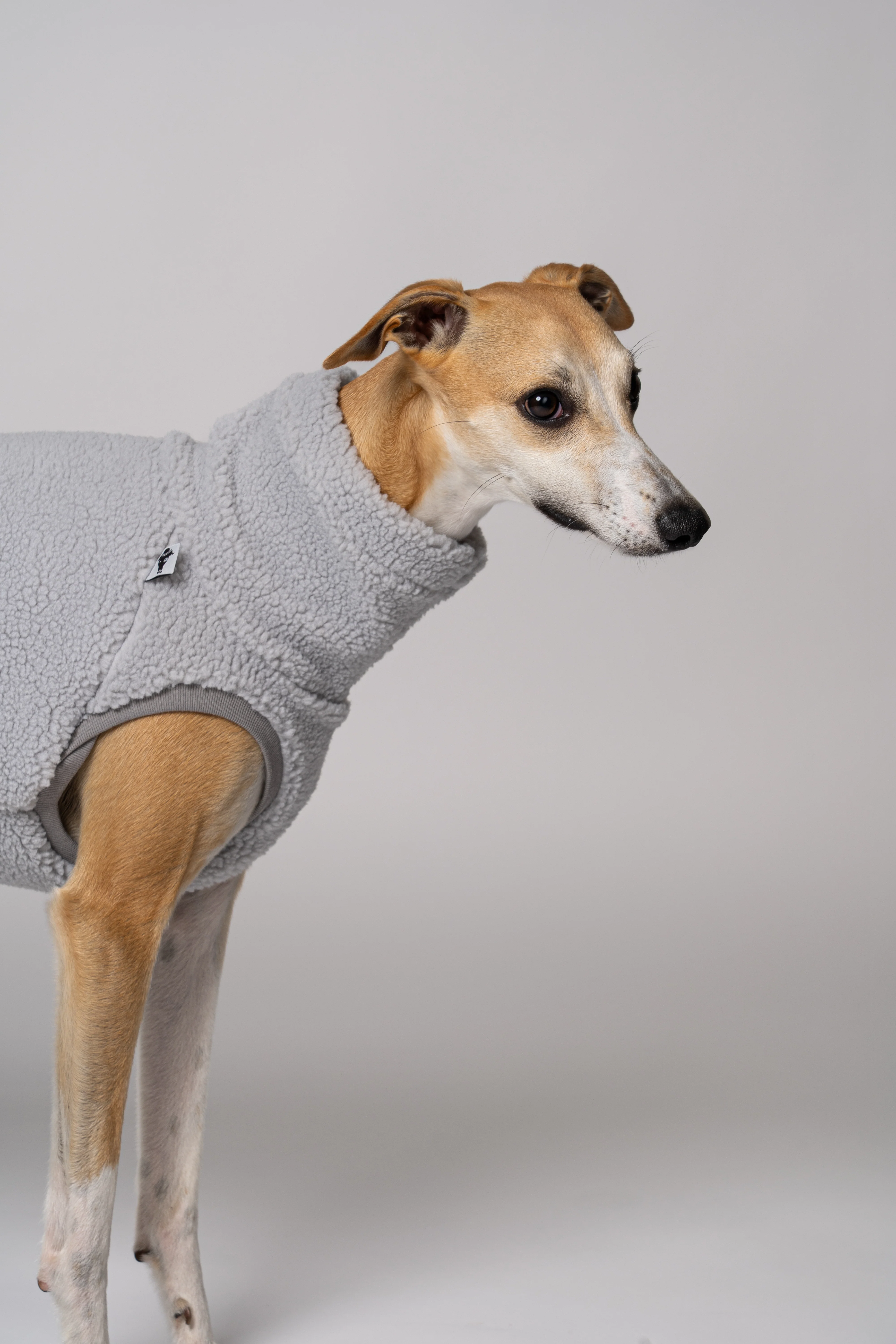 TEDDY SHIRT Windhund Light Grey - Image 6