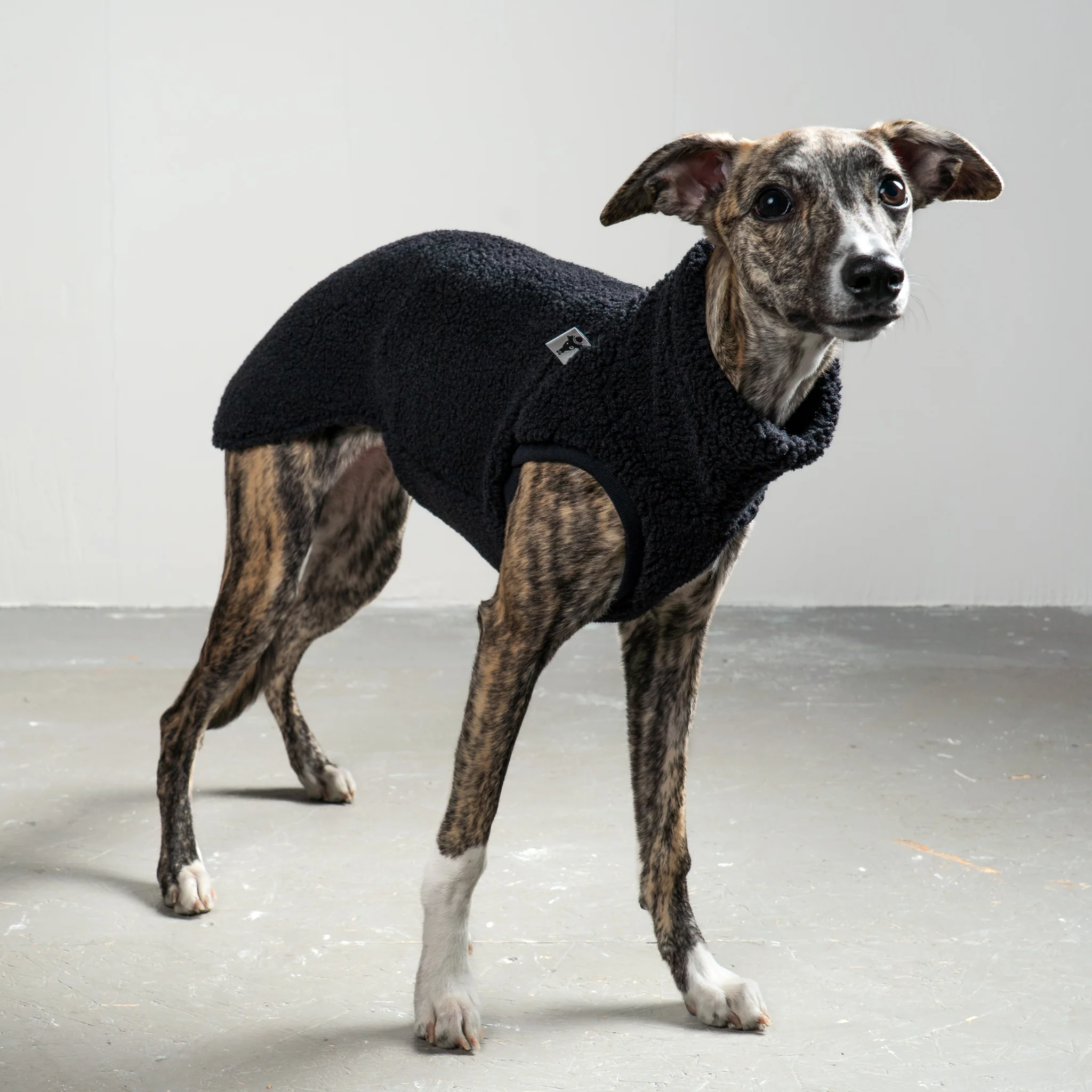 TEDDY SHIRT Windhund Schwarz - Image 5