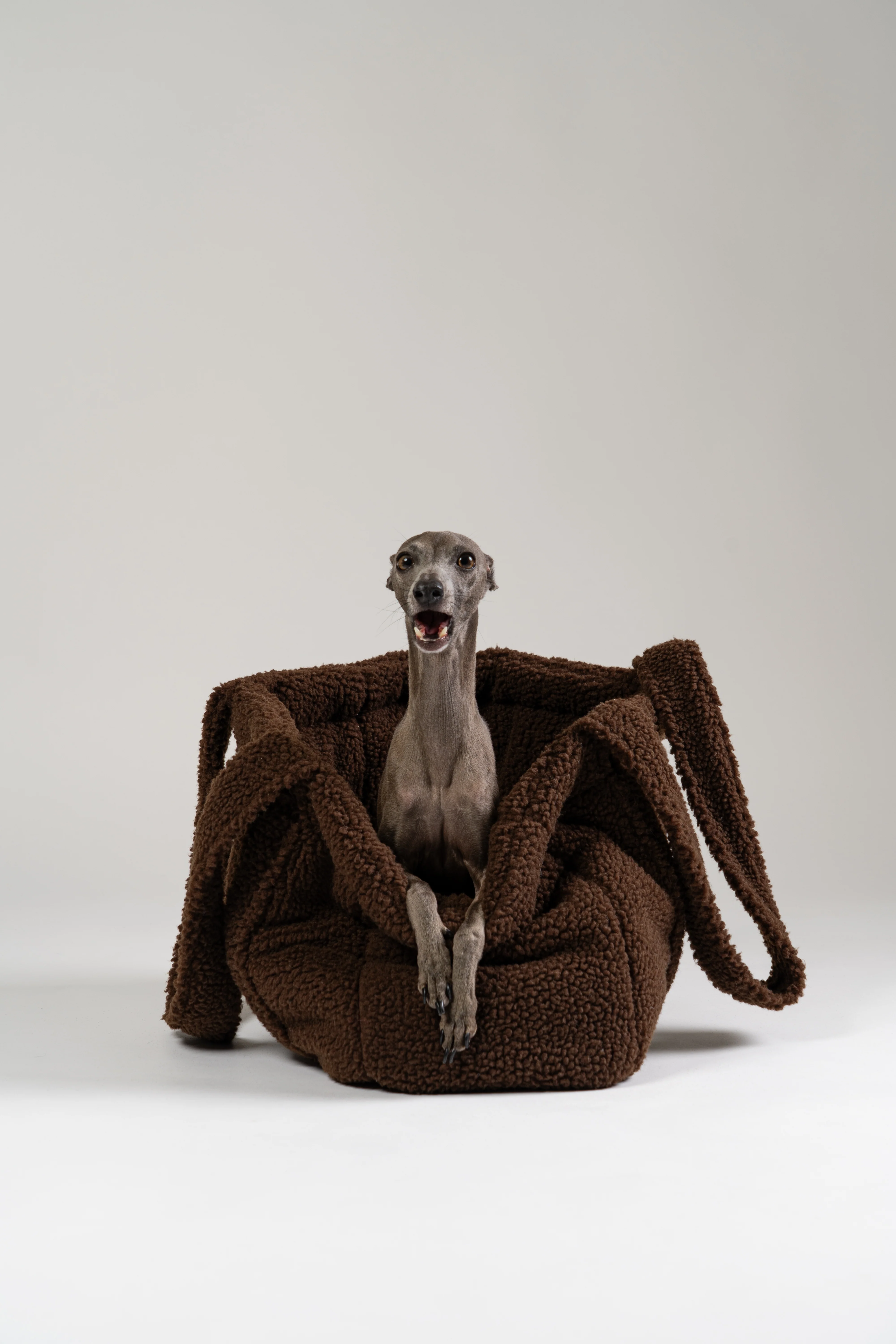 Teddy Shopper BROWN - Image 4