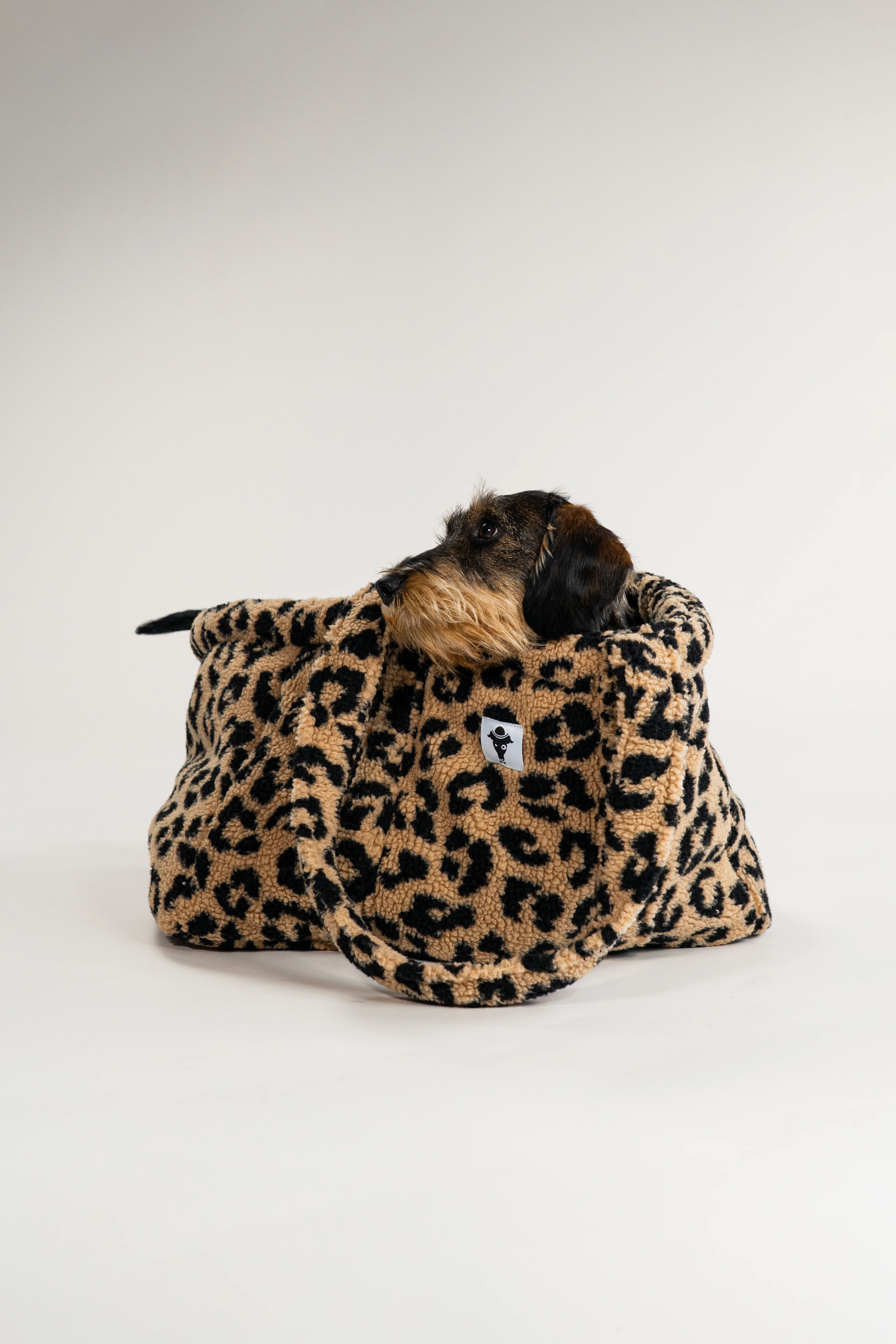 Teddy Shopper LEO - Image 10