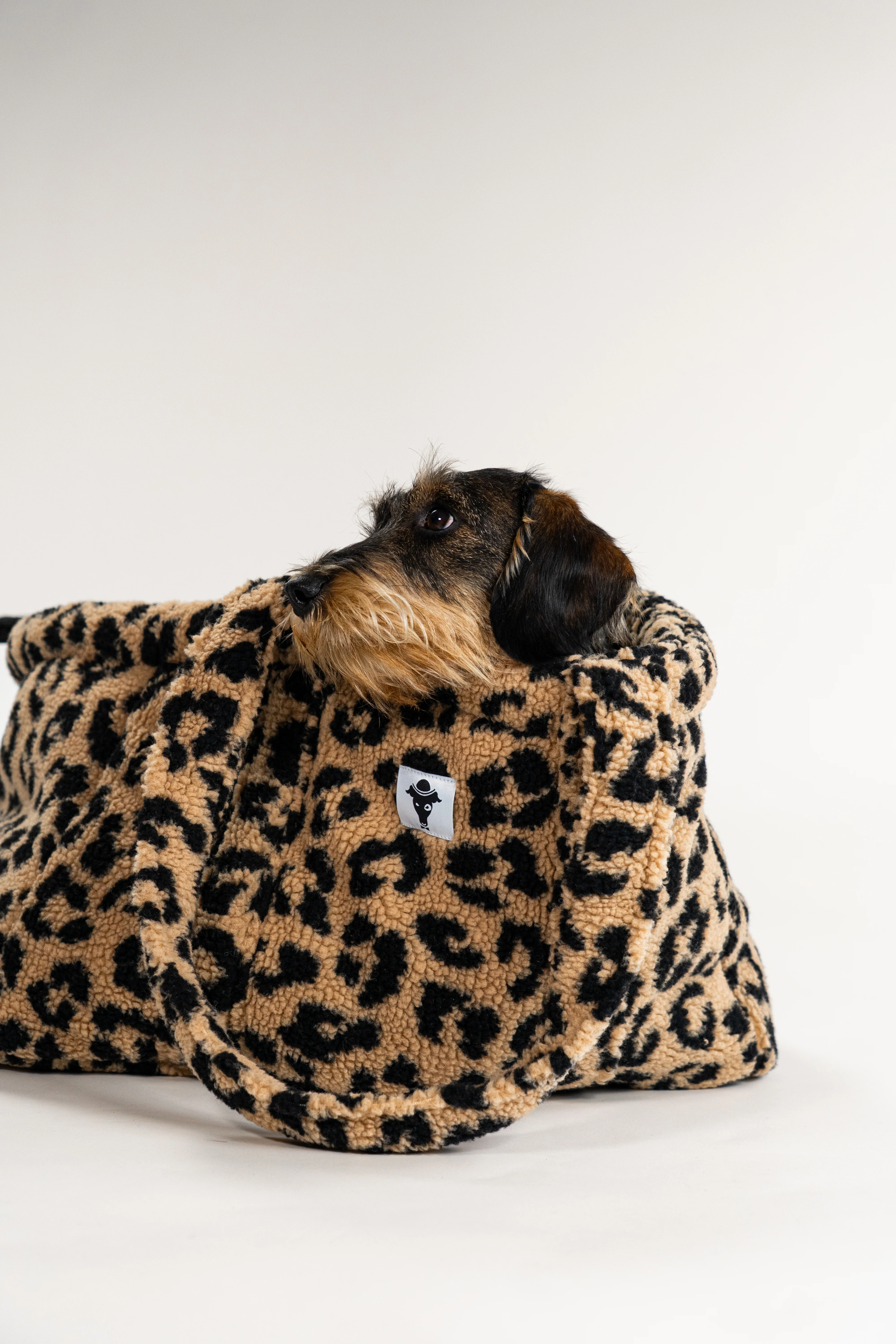 Teddy Shopper LEO - Image 11