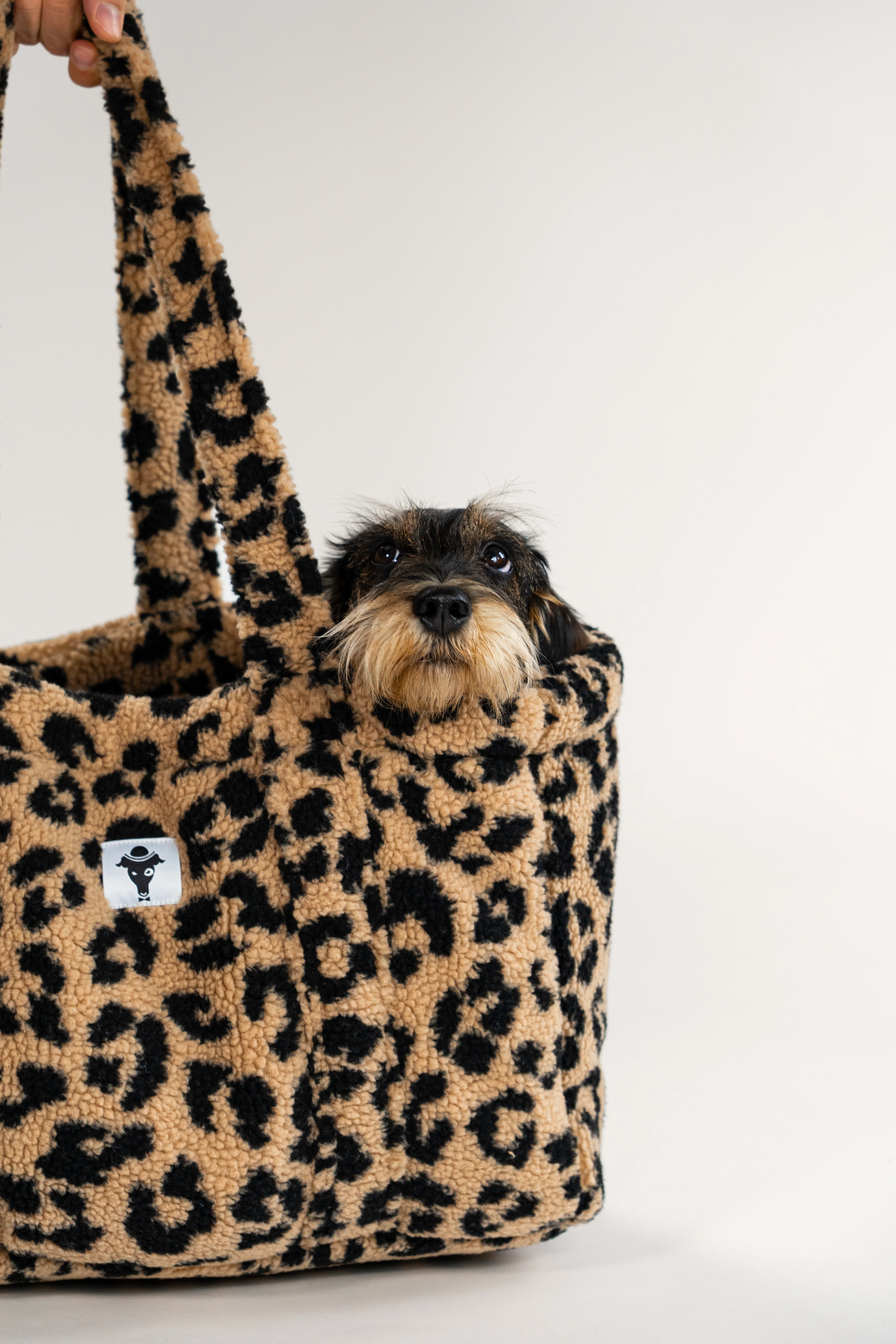 Teddy Shopper LEO - Image 7