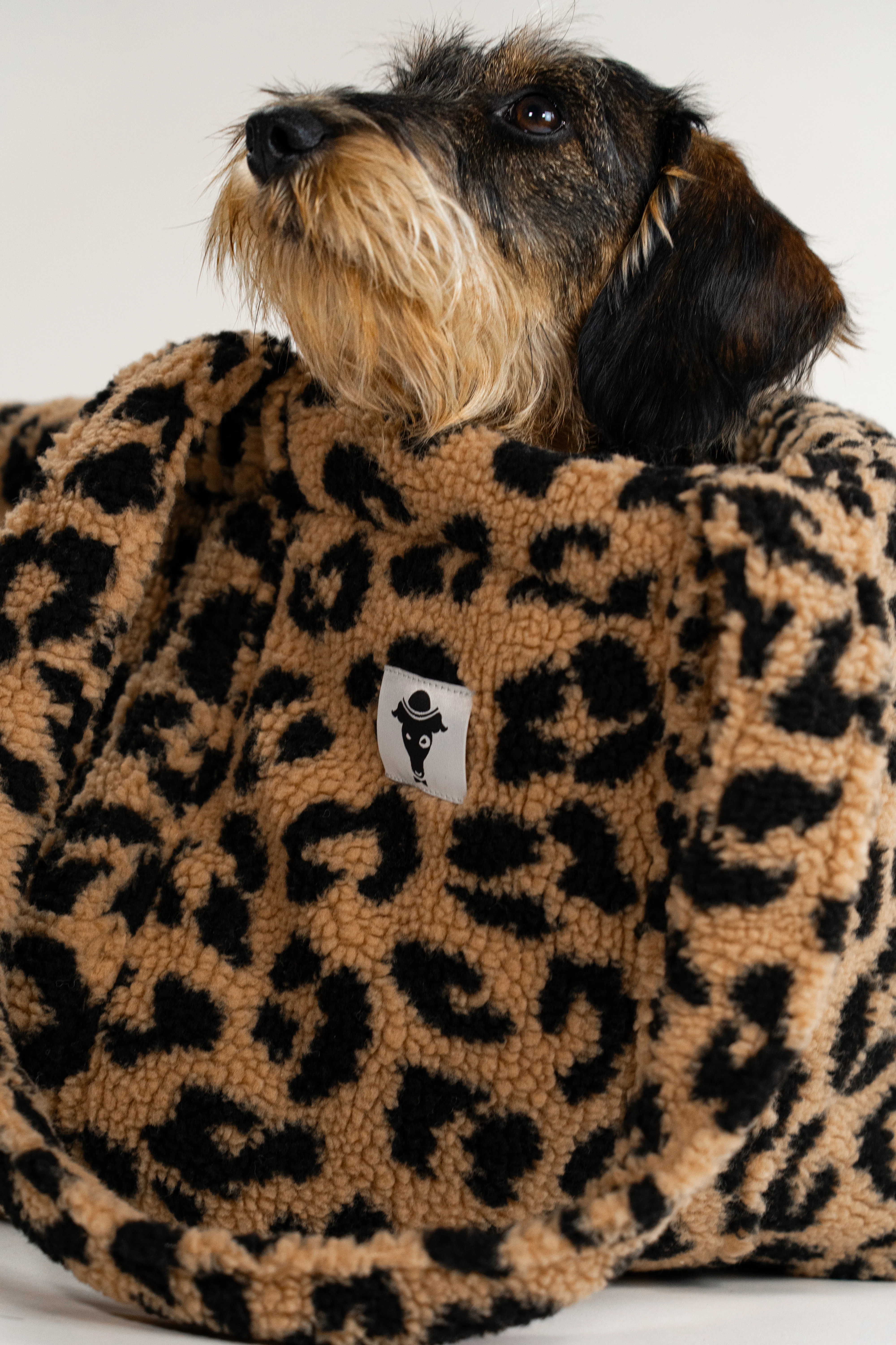 Teddy Shopper LEO - Image 9