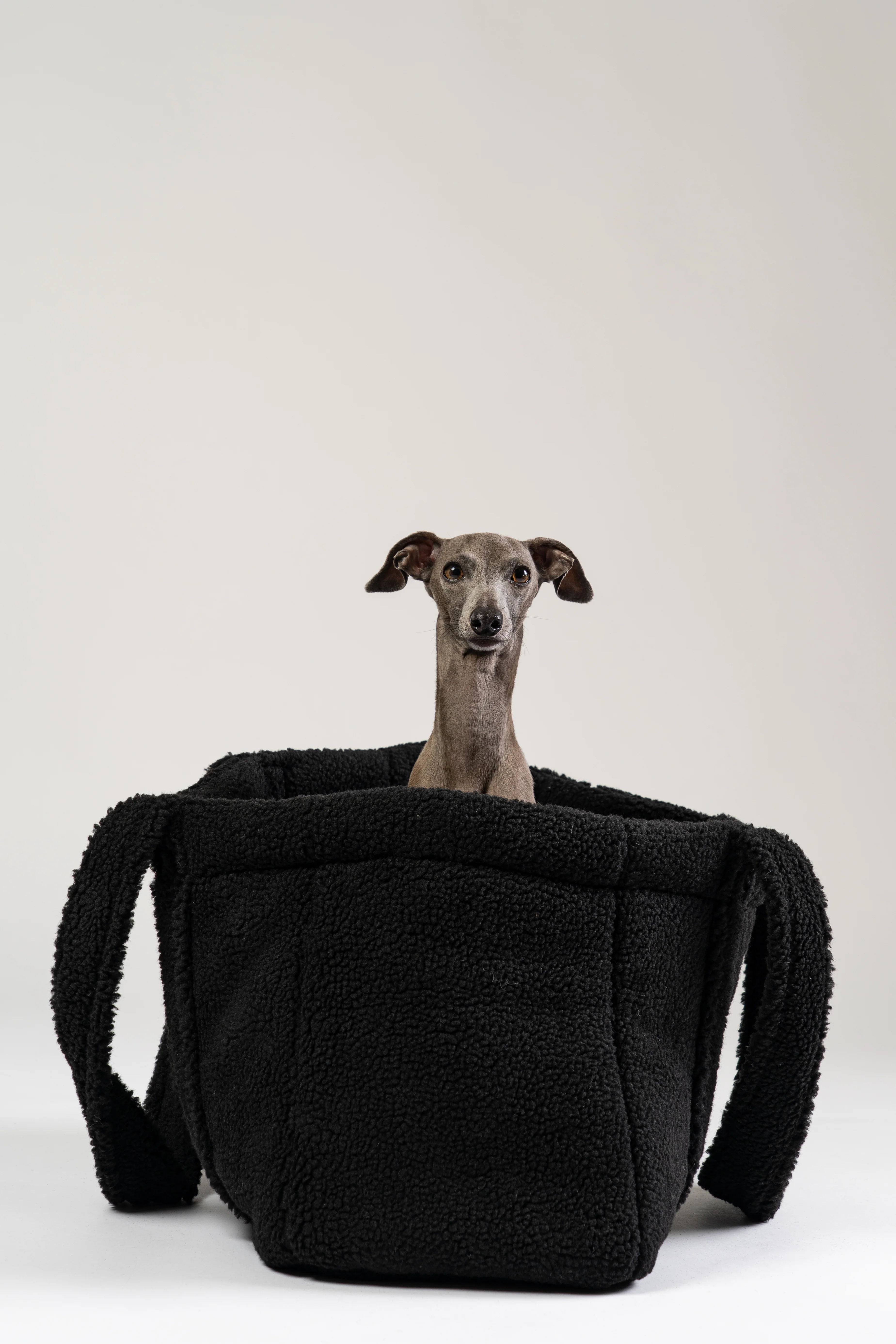 Teddy Shopper BLACK - Image 10