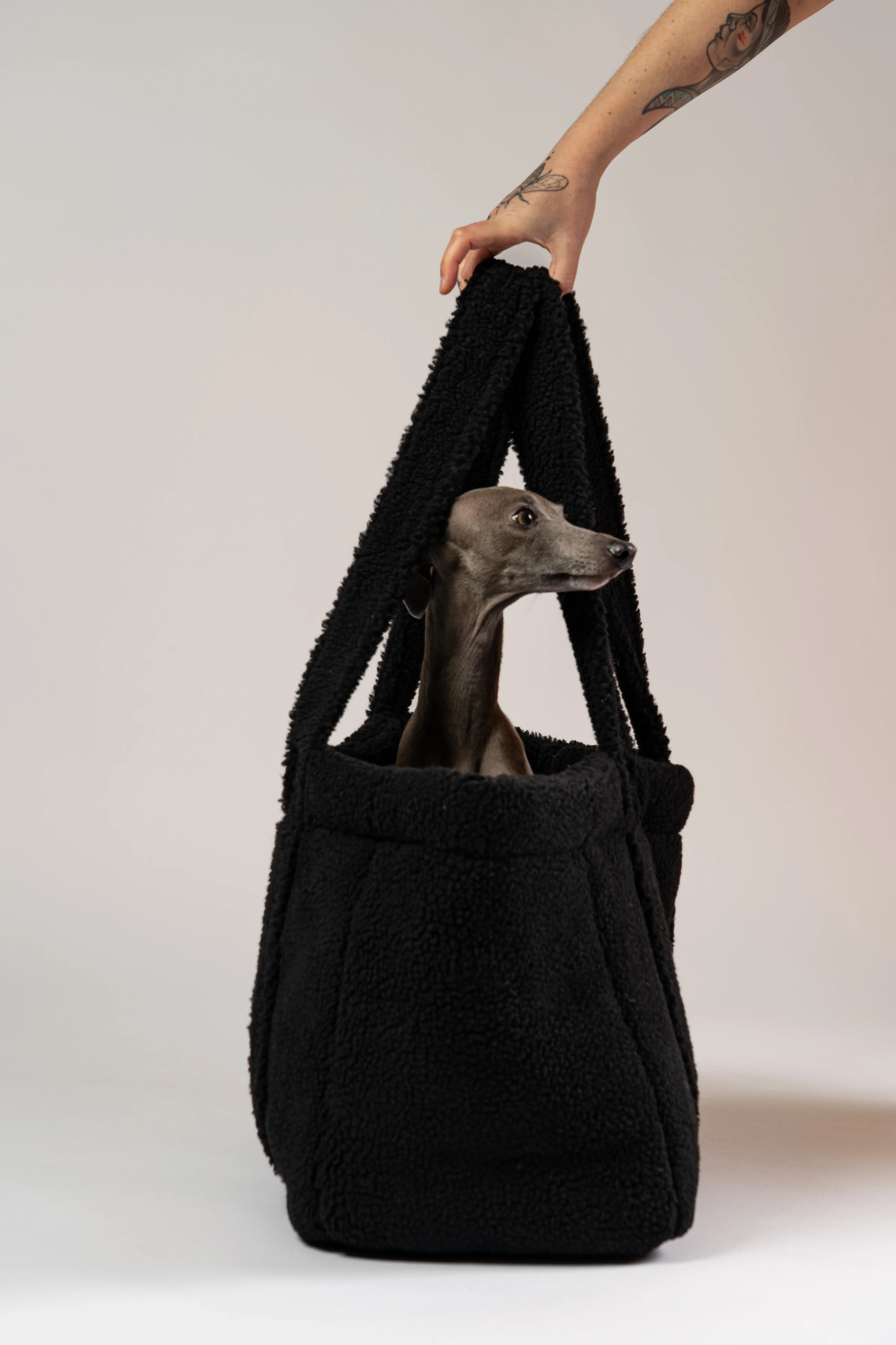 Teddy Shopper BLACK - Image 11