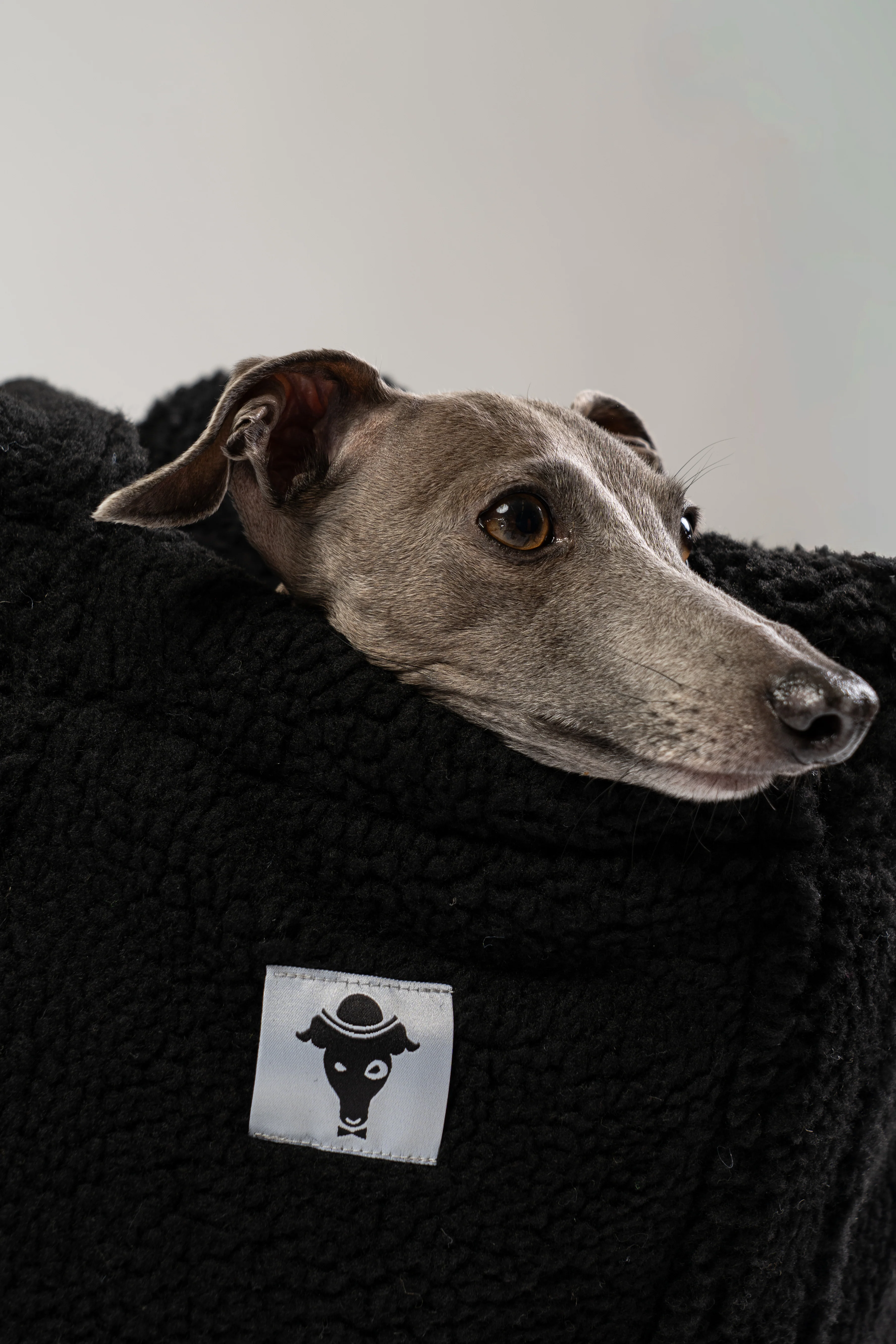 Teddy Shopper BLACK - Image 12