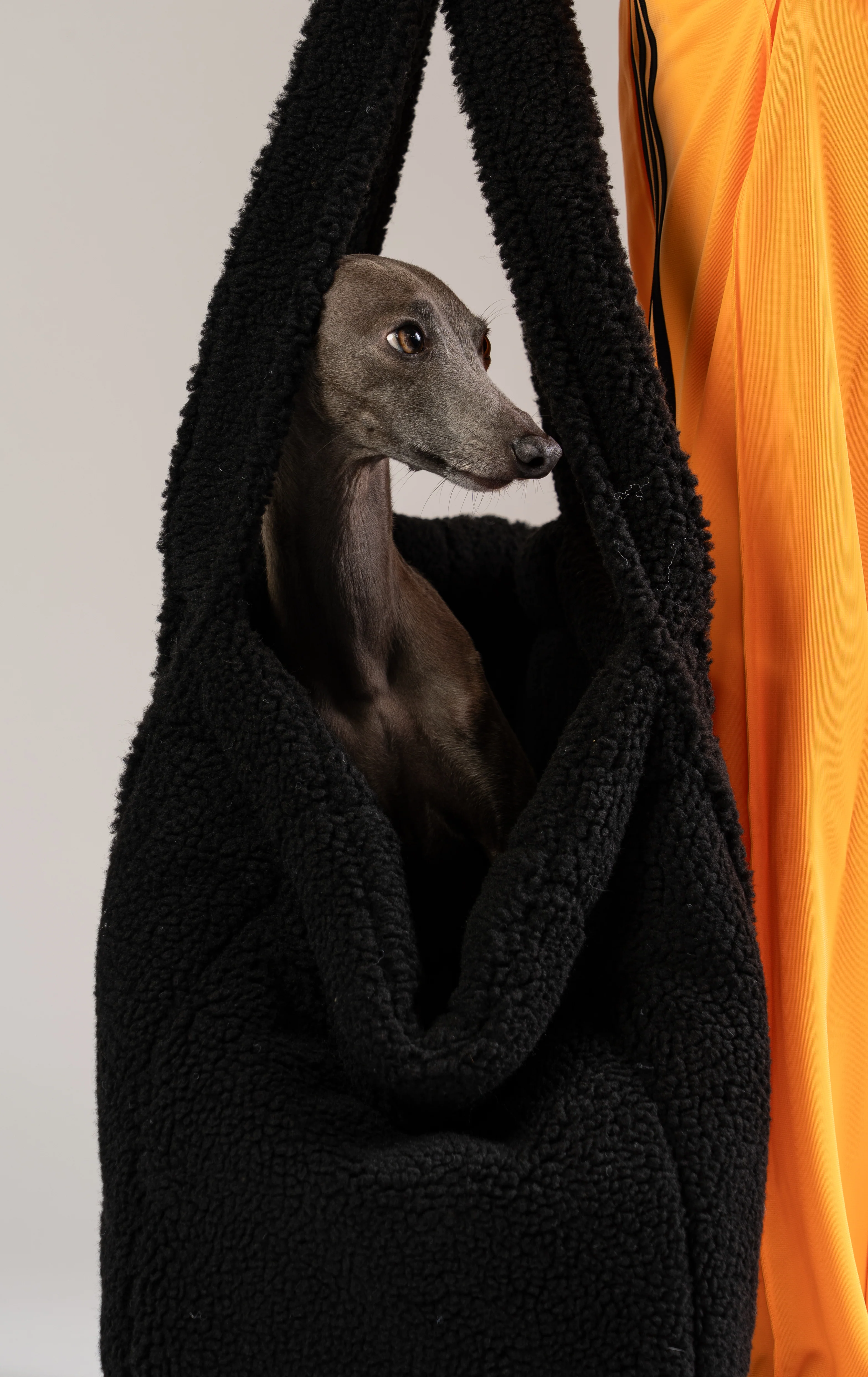 Teddy Shopper BLACK - Image 3