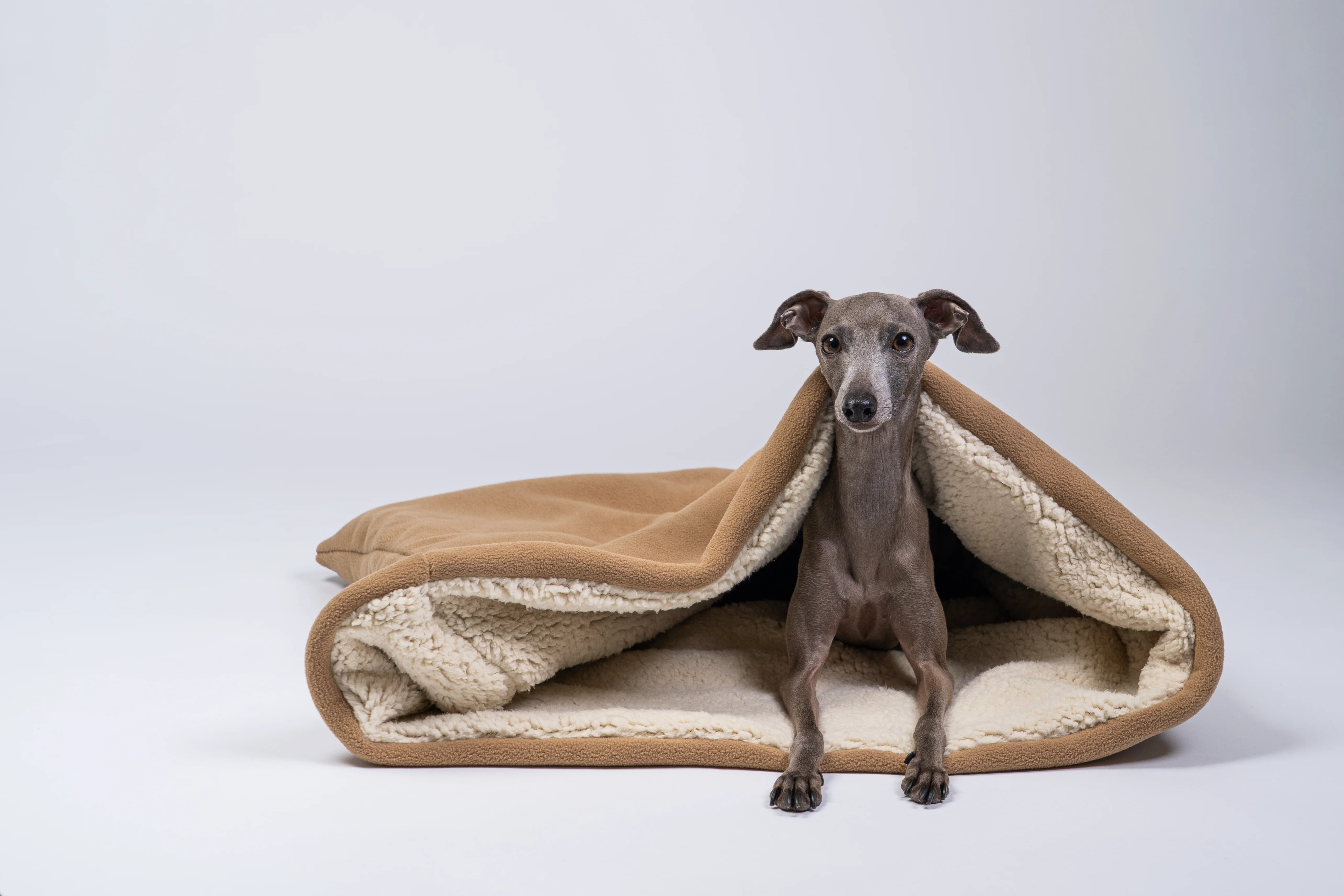 Wellsoft Hundeschlafsack Beige - Image 3